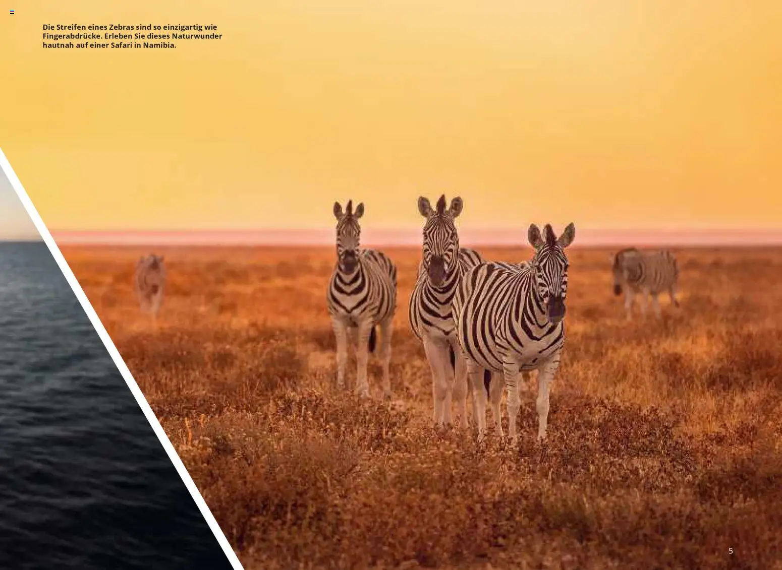 Aida Fernreisen Winter - Seite 5 - gültig ab 01.10.2025