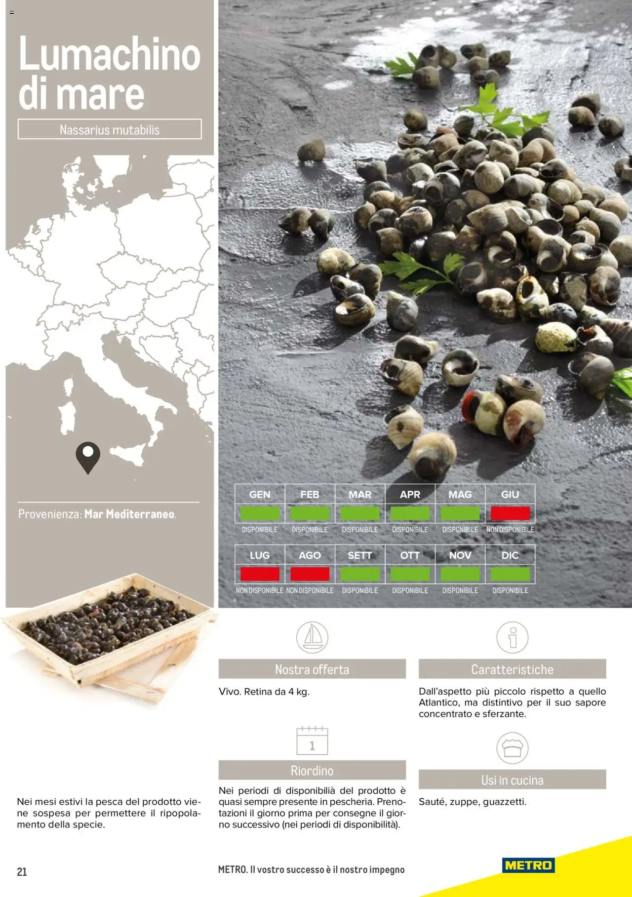 Catalogo Frutti di mare Metro	 - pagina 21 - valido dal 11/07/2024