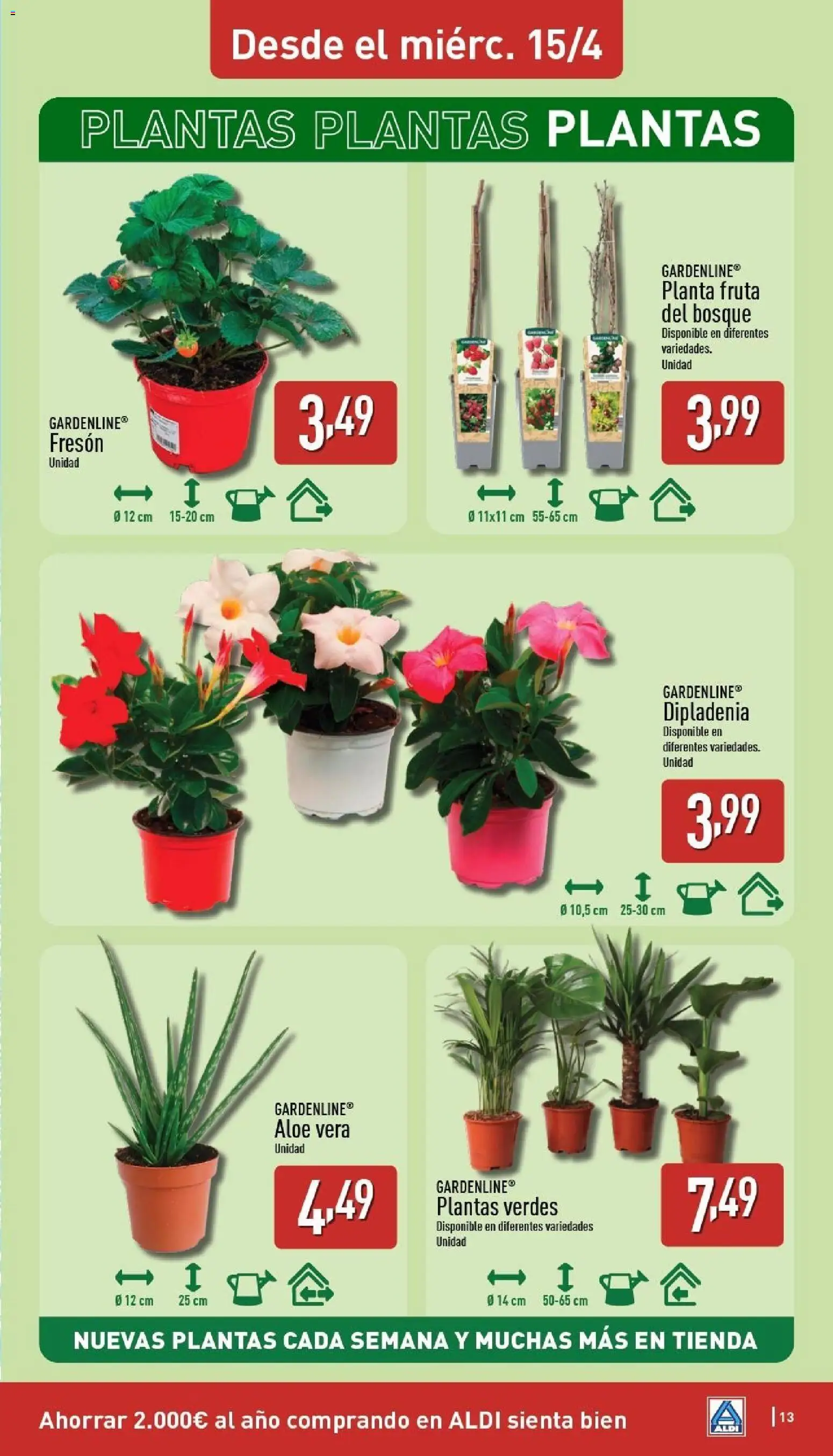 Aldi folleto Península - Página de 13 - Válido desde 13/04/2026