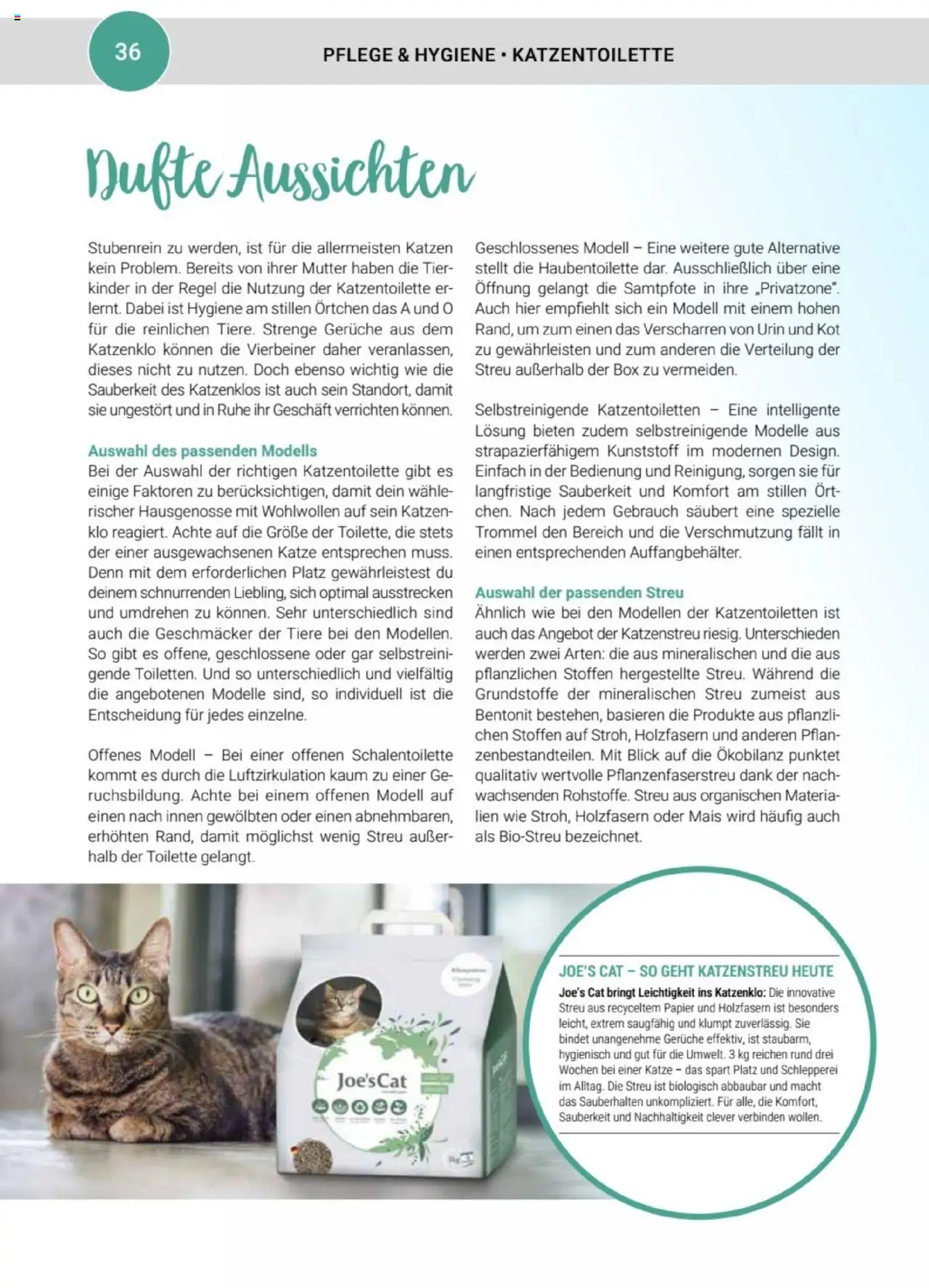 zookauf Themenkatalog Katze - Seite 36 - gültig ab 01.10.2025