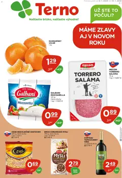 Terno leták platný od 08.01.2026