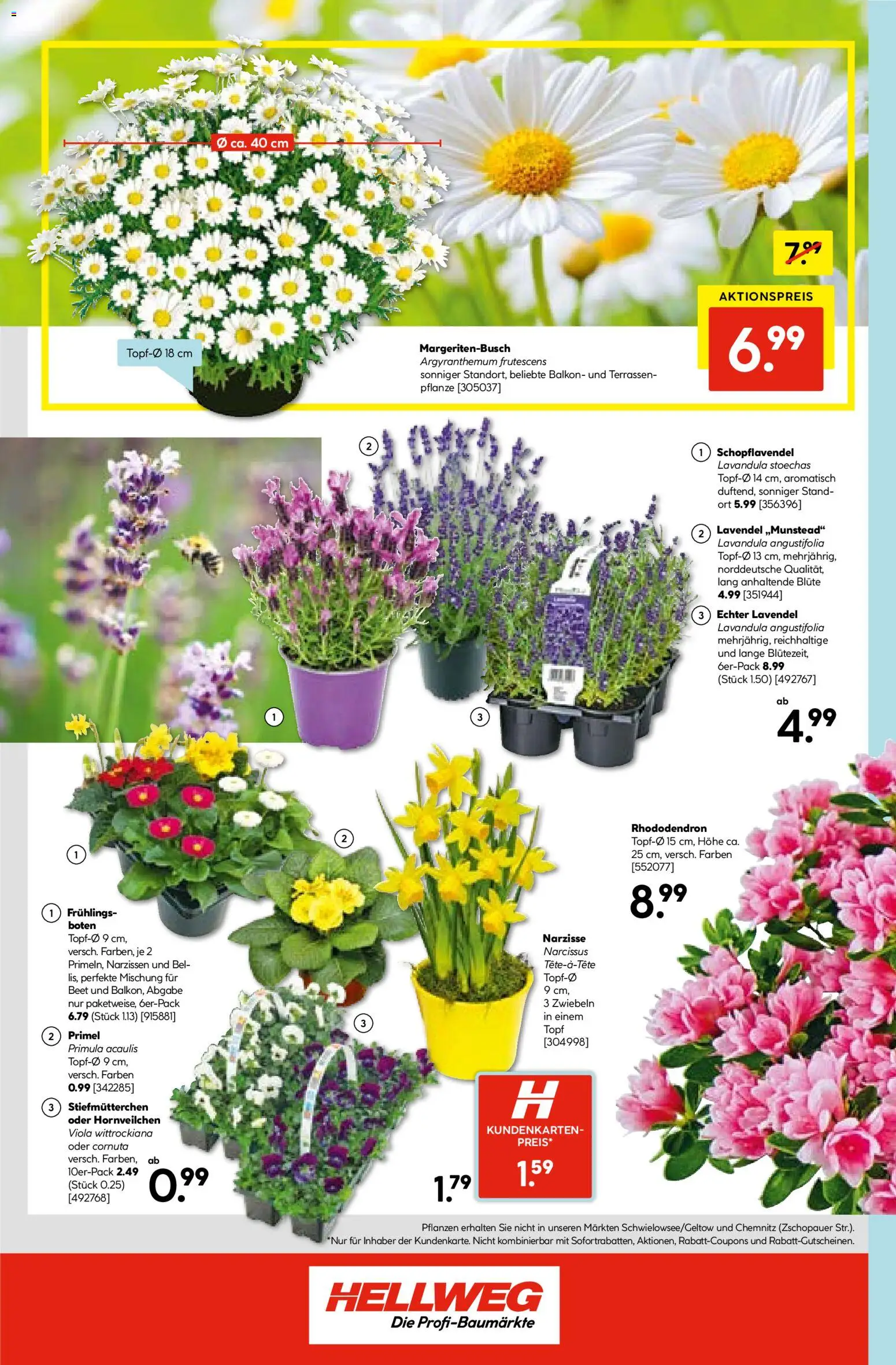 Hellweg Prospekt - Seite 16 - gültig ab 09.03.2026