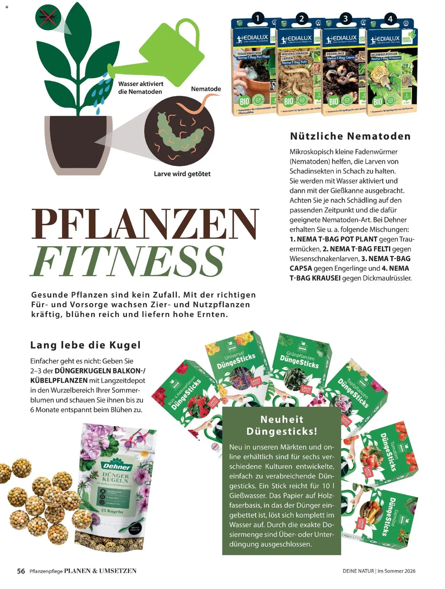Dehner Prospekt 	 - Seite 56 - gültig ab 17.04.2026