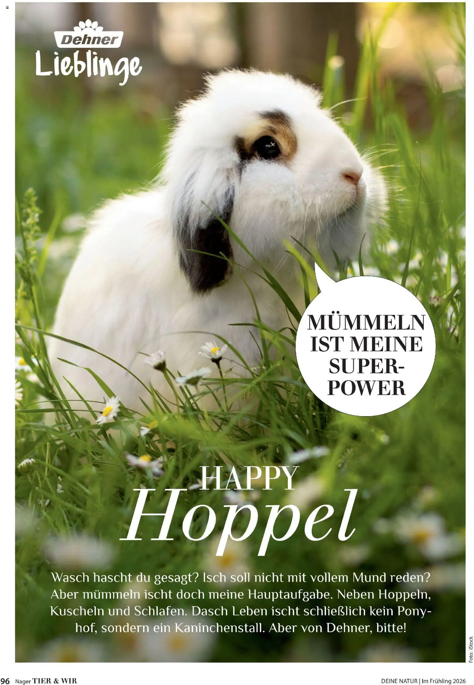 Dehner Flugblatt - page 96- valid from 05.03.2026