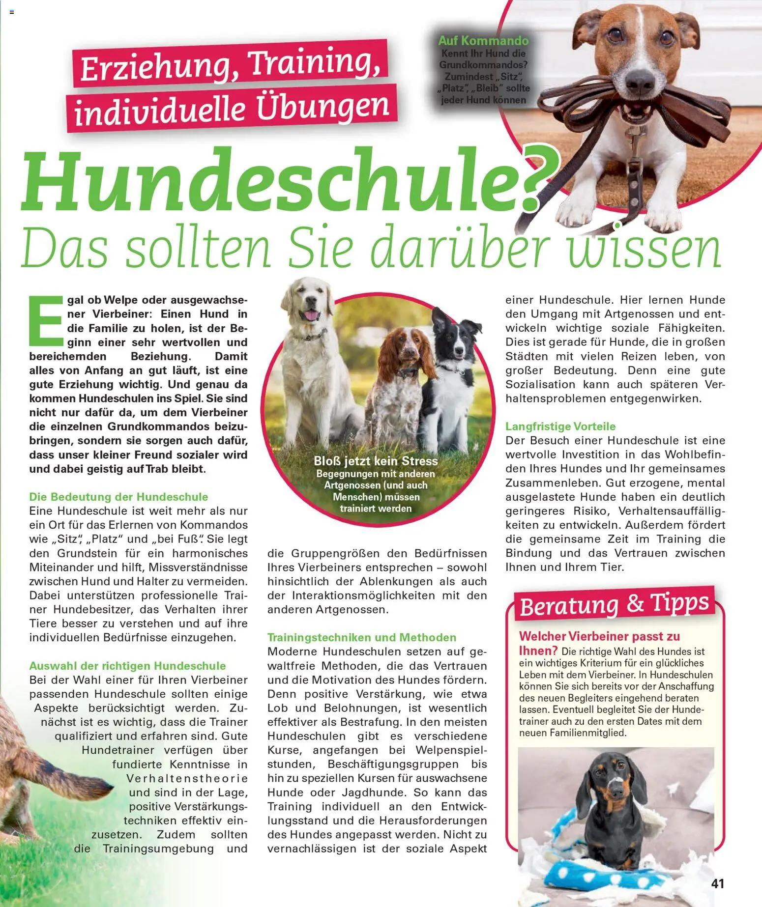 Poco Prospekt Wohnwelt Frühling 2026 - Seite 41 - gültig ab 16.02.2026