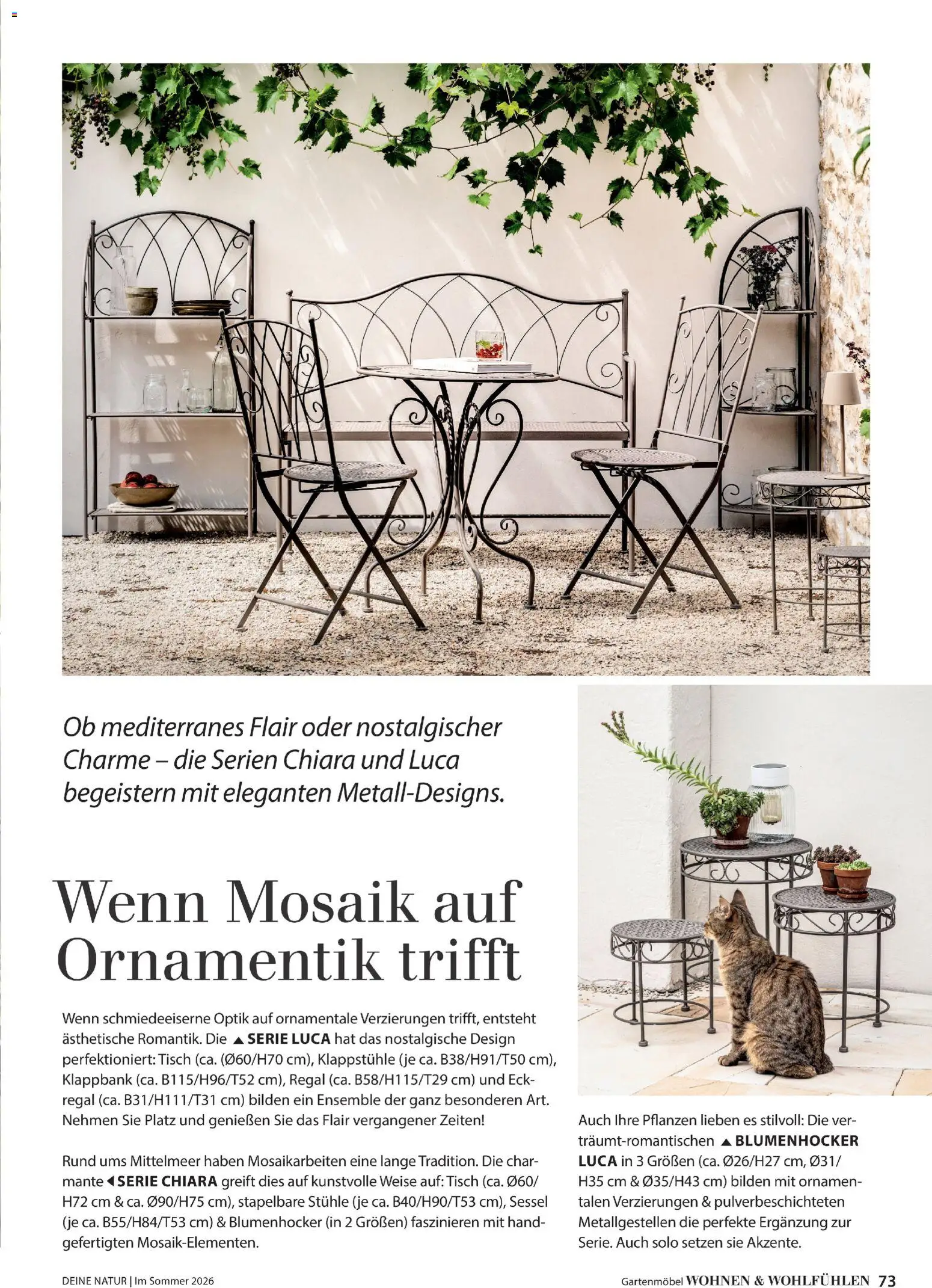 Dehner Prospekt 	 - Seite 73 - gültig ab 17.04.2026