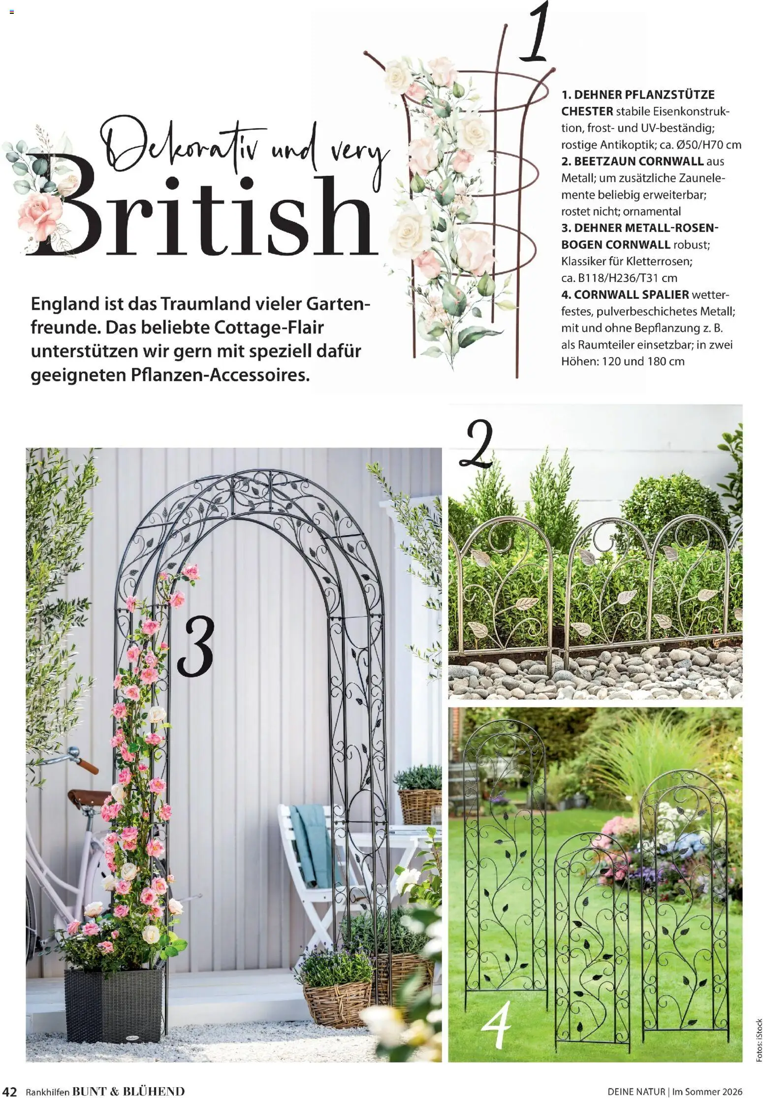 Dehner Prospekt 	 - Seite 42 - gültig ab 17.04.2026