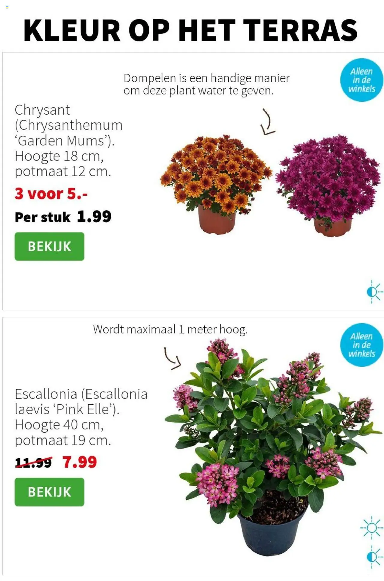 Intratuin - Folder - pagina 3- geldig vanaf 21-07-2025