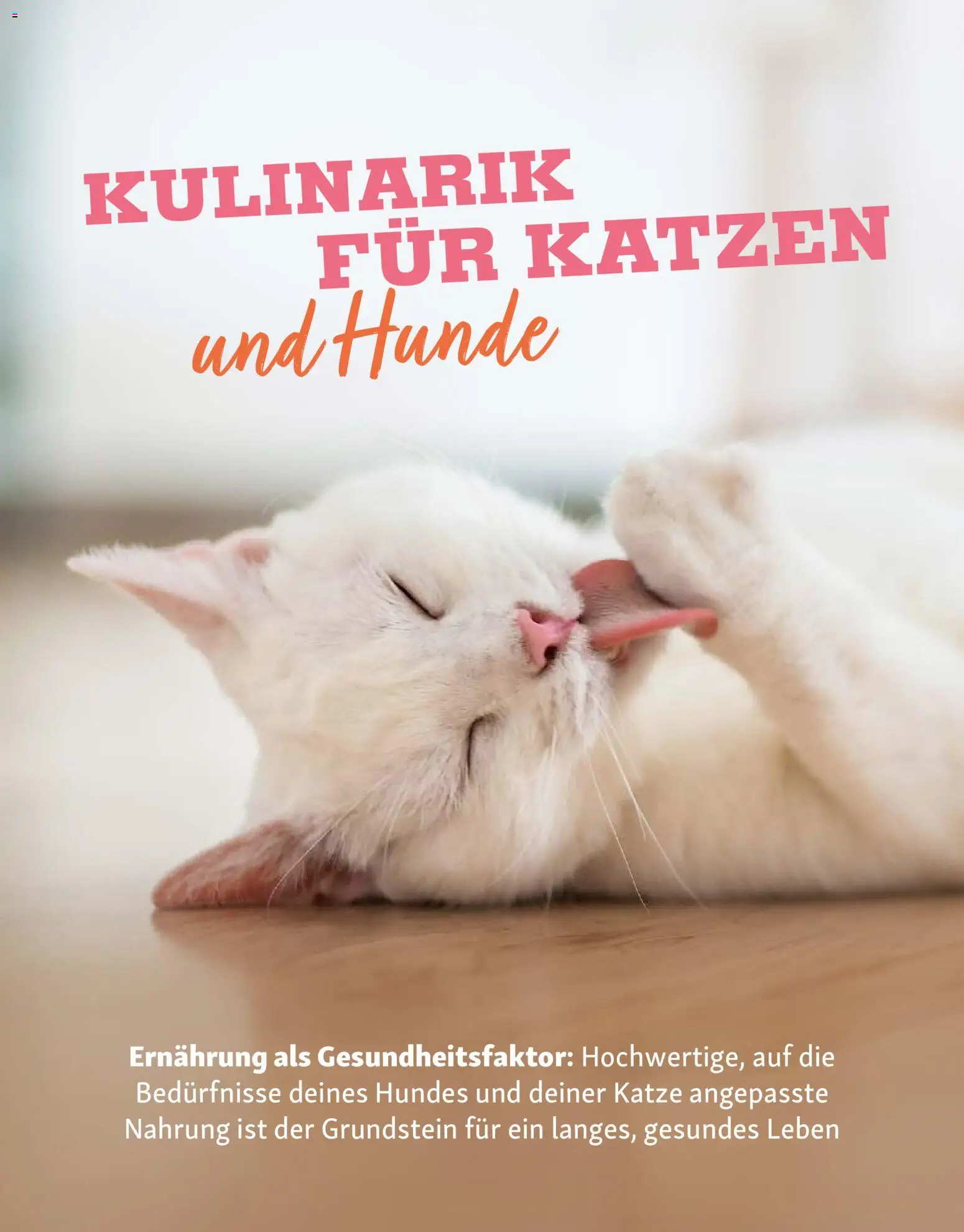 Fressnapf Friends Magazin - Seite 16 - gültig ab 02.03.2026