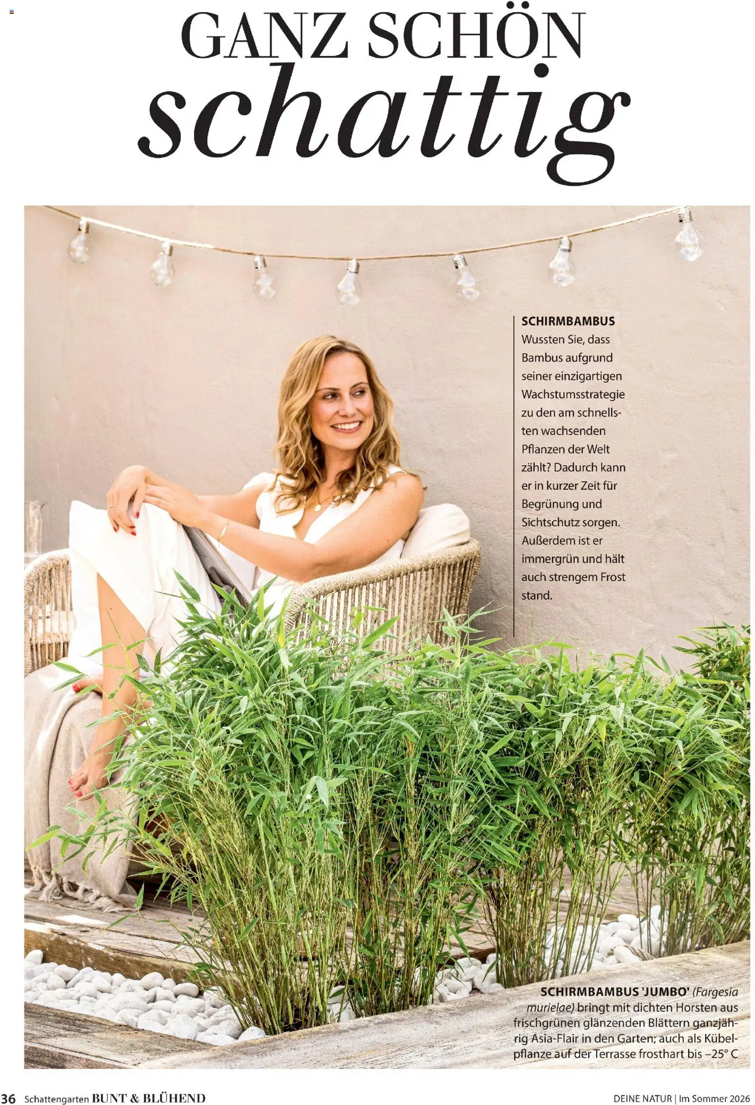 Dehner Prospekt 	 - Seite 36 - gültig ab 17.04.2026