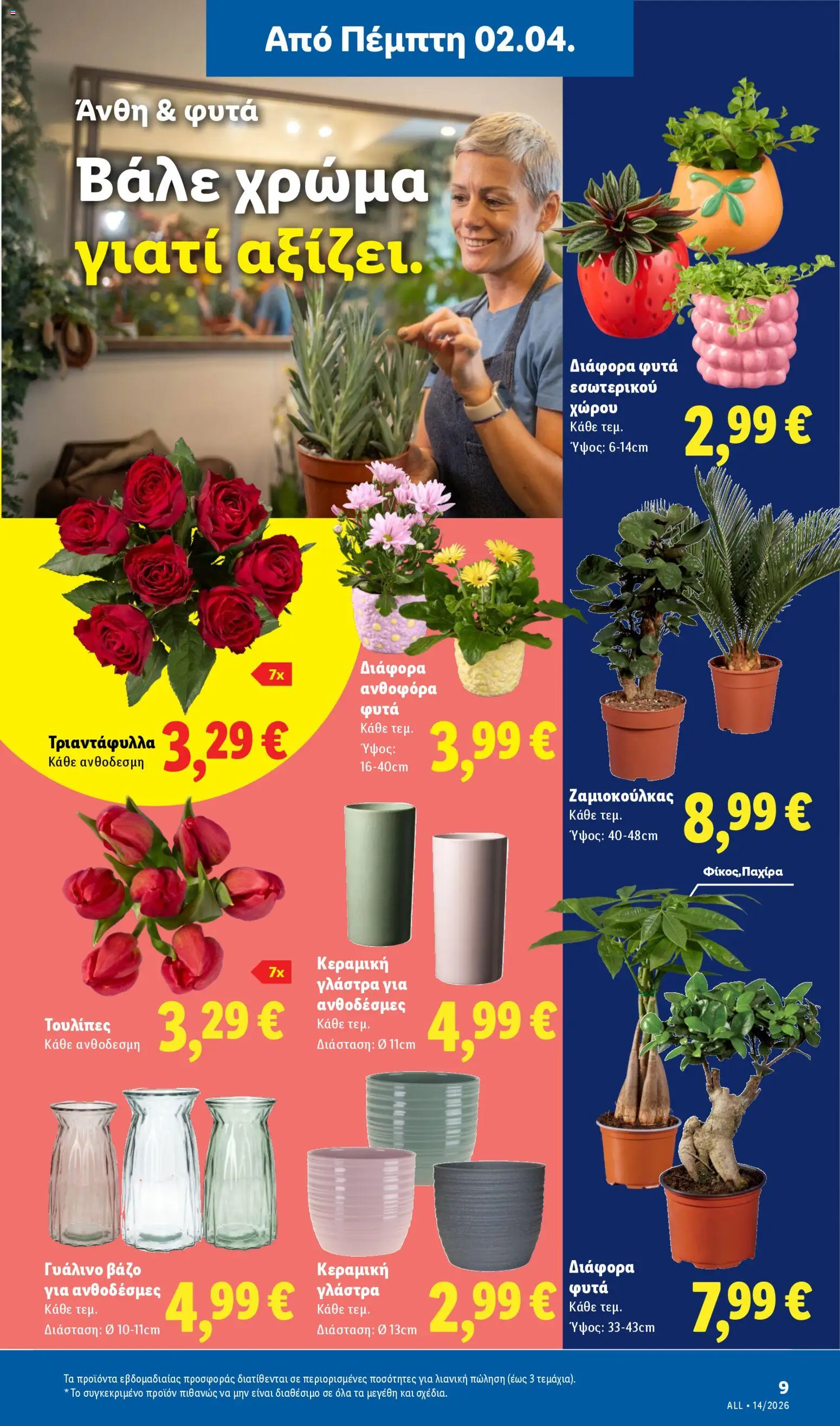 Lidl - Φυλλάδιο  - Food & Nonfood - page 39- valid from 02/04/2026