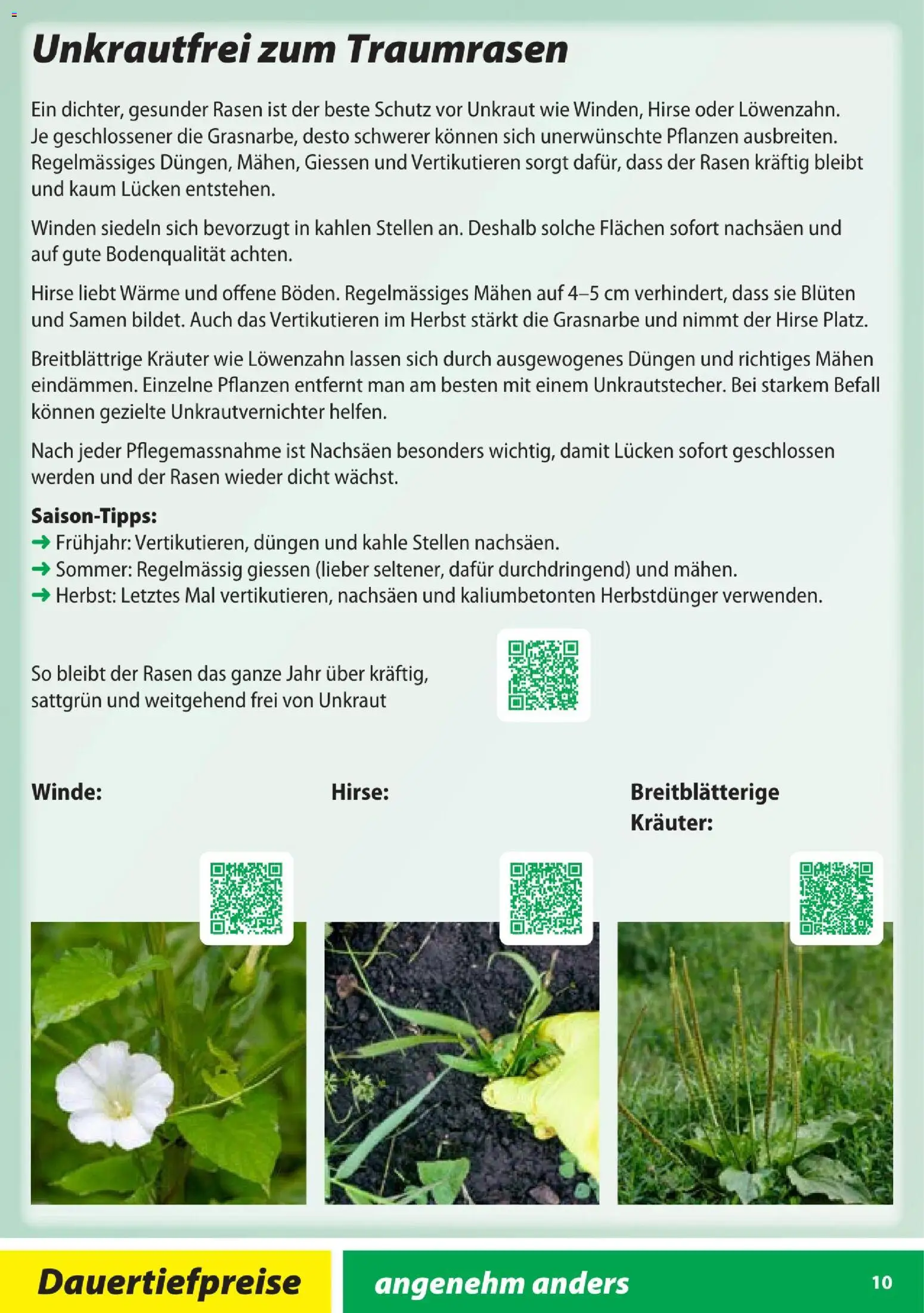 Landi Aktionen Capito - page 10- valid from 28.01.2026