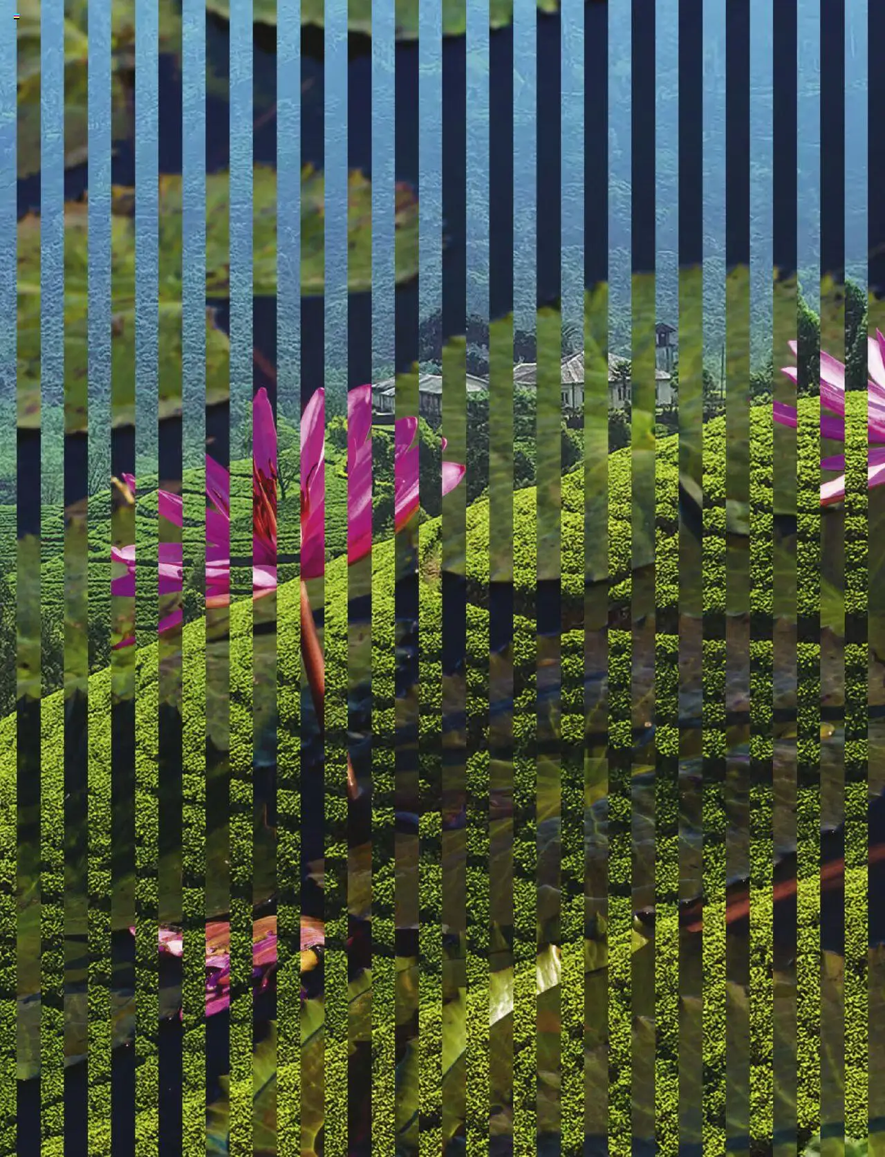 TUI airtours Katalog  Erstklassige Fernreisen 2025/26 - Seite 174 - gültig ab 01.11.2025