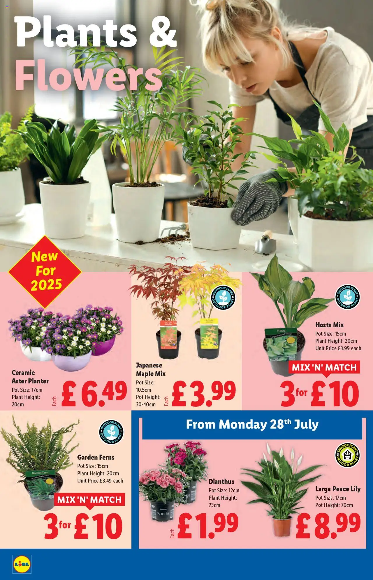 Lidl - Spanish week - page 22- valid from 24/07/2025