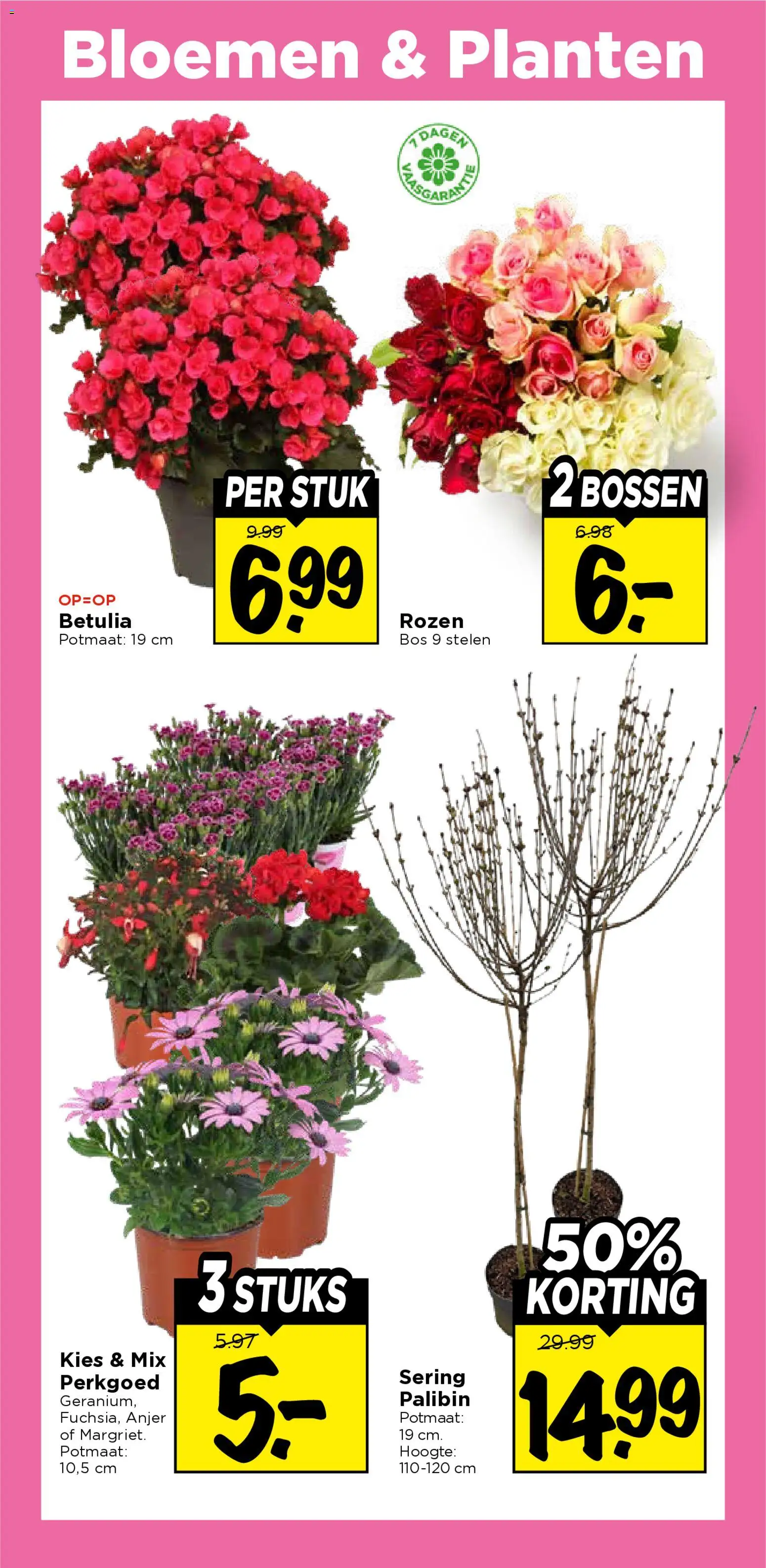 Vomar folder - page 29- valid from 05-04-2026