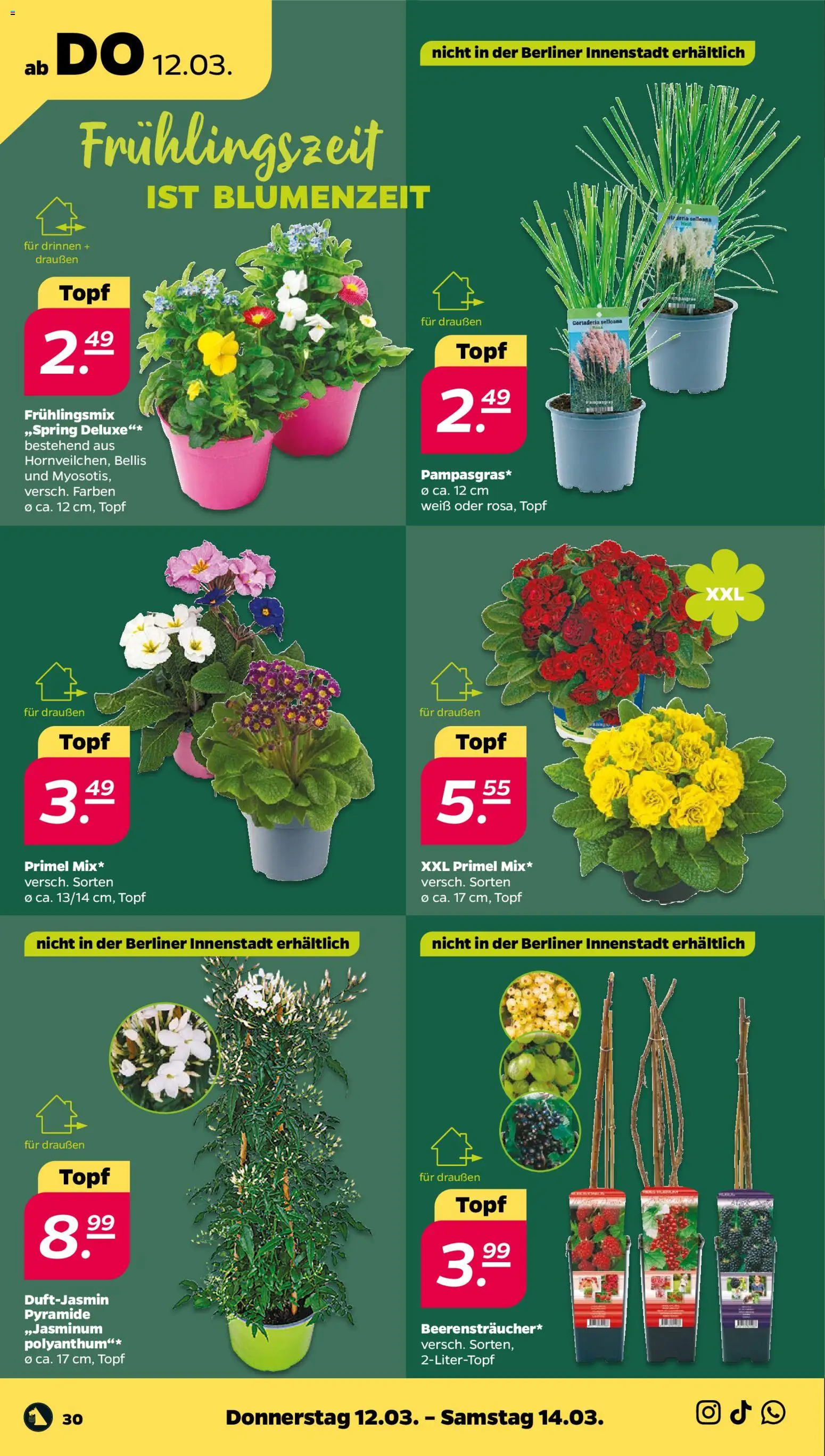 Netto Prospekt 	 - Seite 36 - gültig ab 09.03.2026