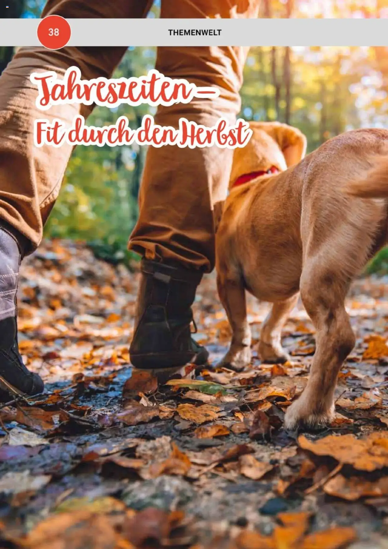 zookauf  Themenkatalog Hund - Seite 38 - gültig ab 20.05.2025