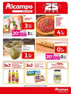Vista previa del folleto Alcampo - Maxi válido desde 09/10/2025