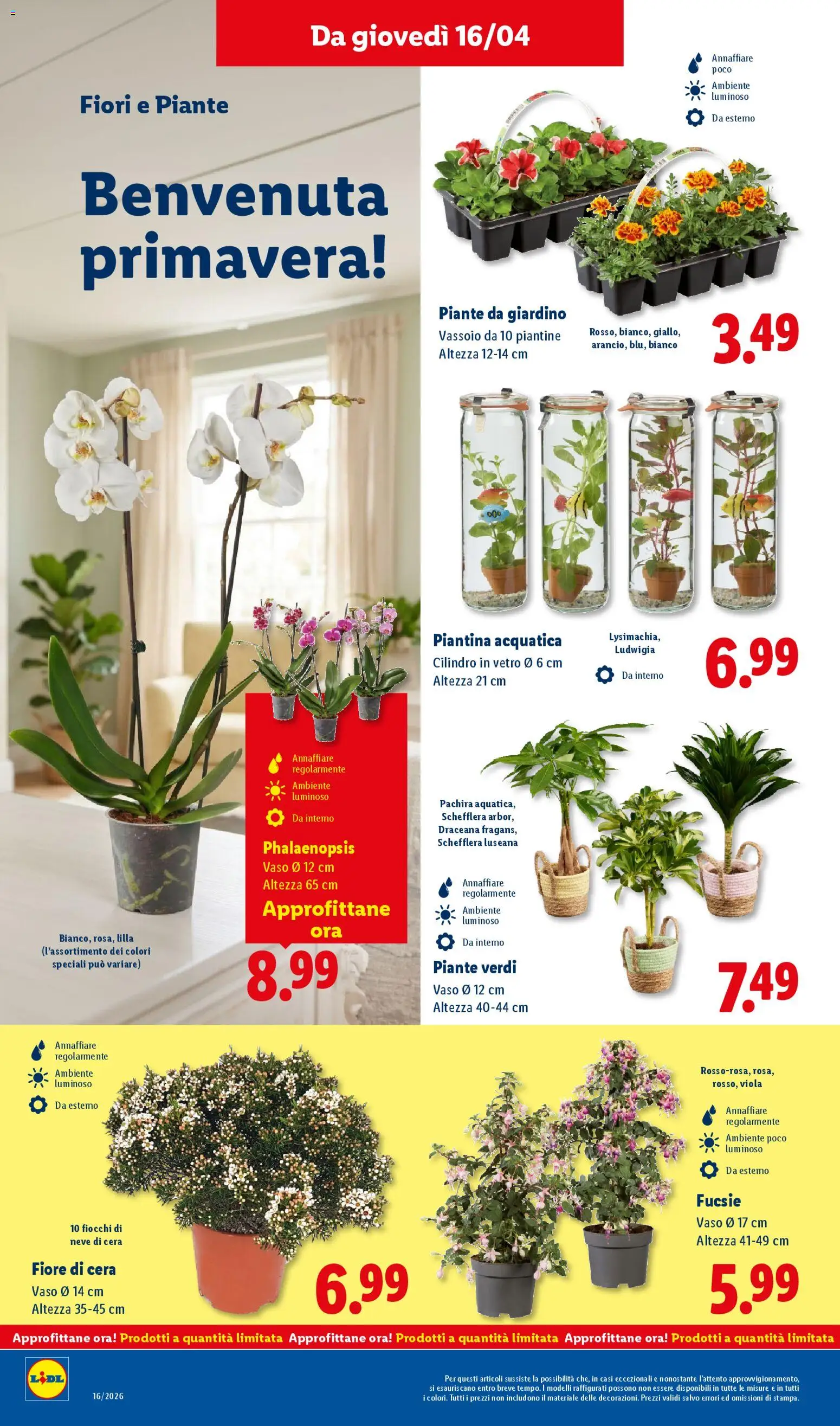 Lidl volantino - pagina 26 - valido dal 16/04/2026