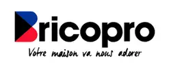 Brico PRO logo