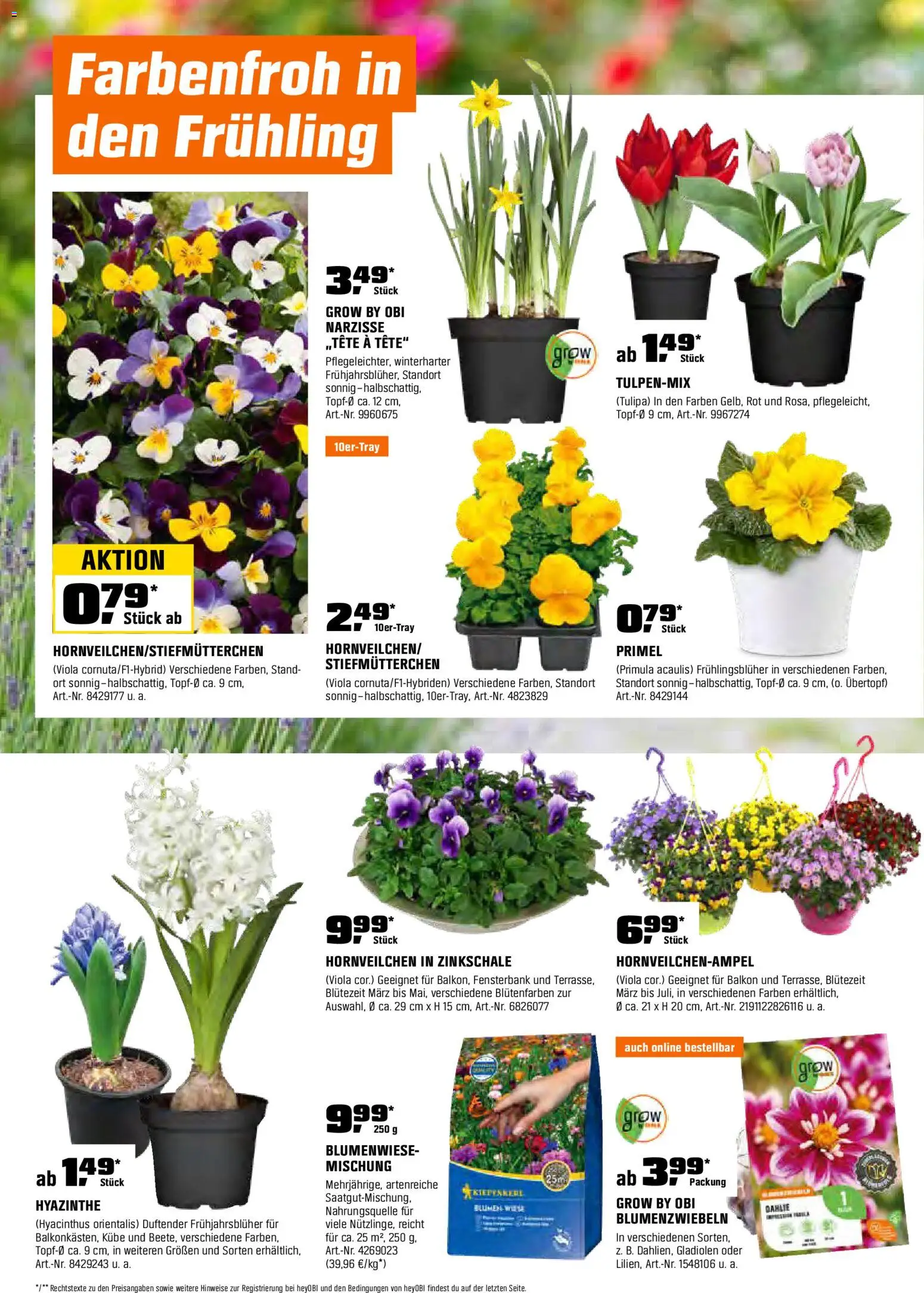 Obi Prospekt 	 - Seite 6 - gültig ab 01.03.2026