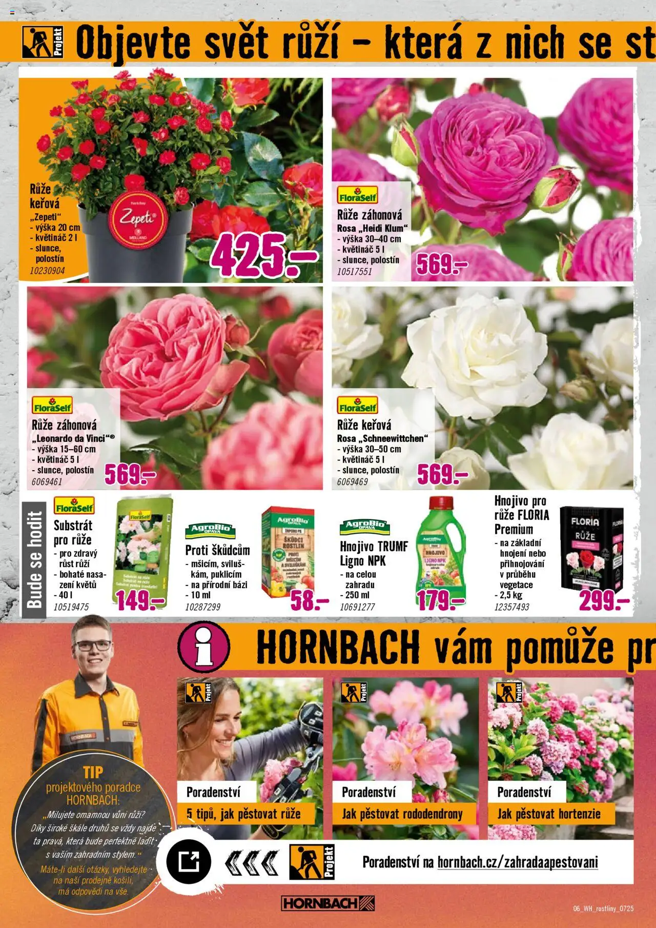 HORNBACH leták - Rostliny lákající hmyz - strana 6- platný od 09.07.2025
