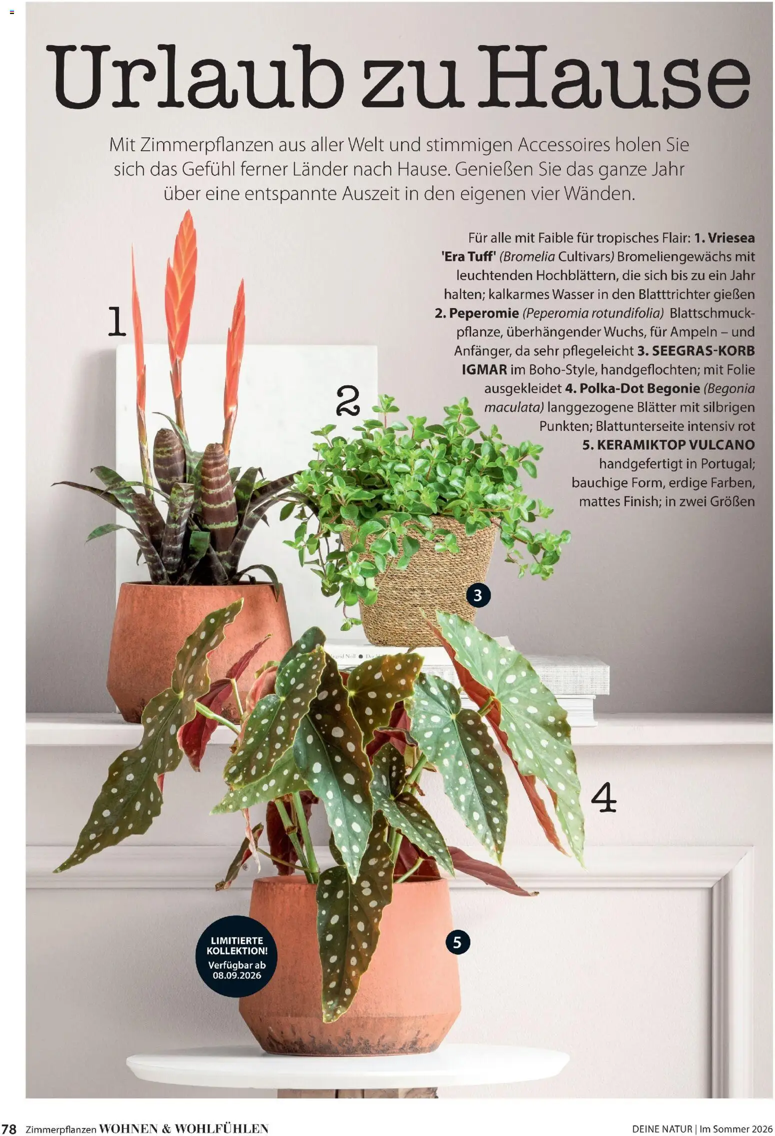 Dehner Prospekt 	 - Seite 78 - gültig ab 17.04.2026