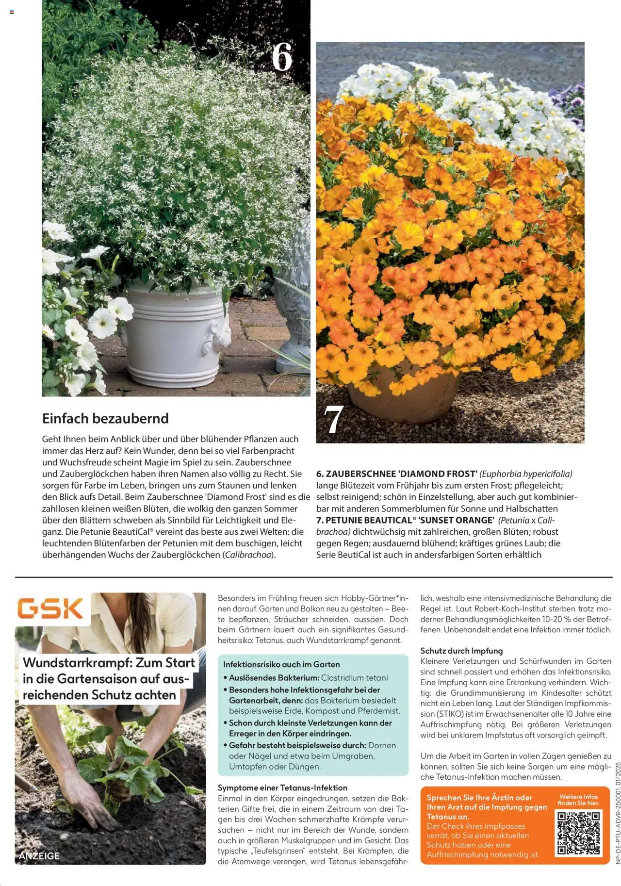 Dehner Prospekt - Deine Natur - Seite 25 - gültig ab 23.04.2025