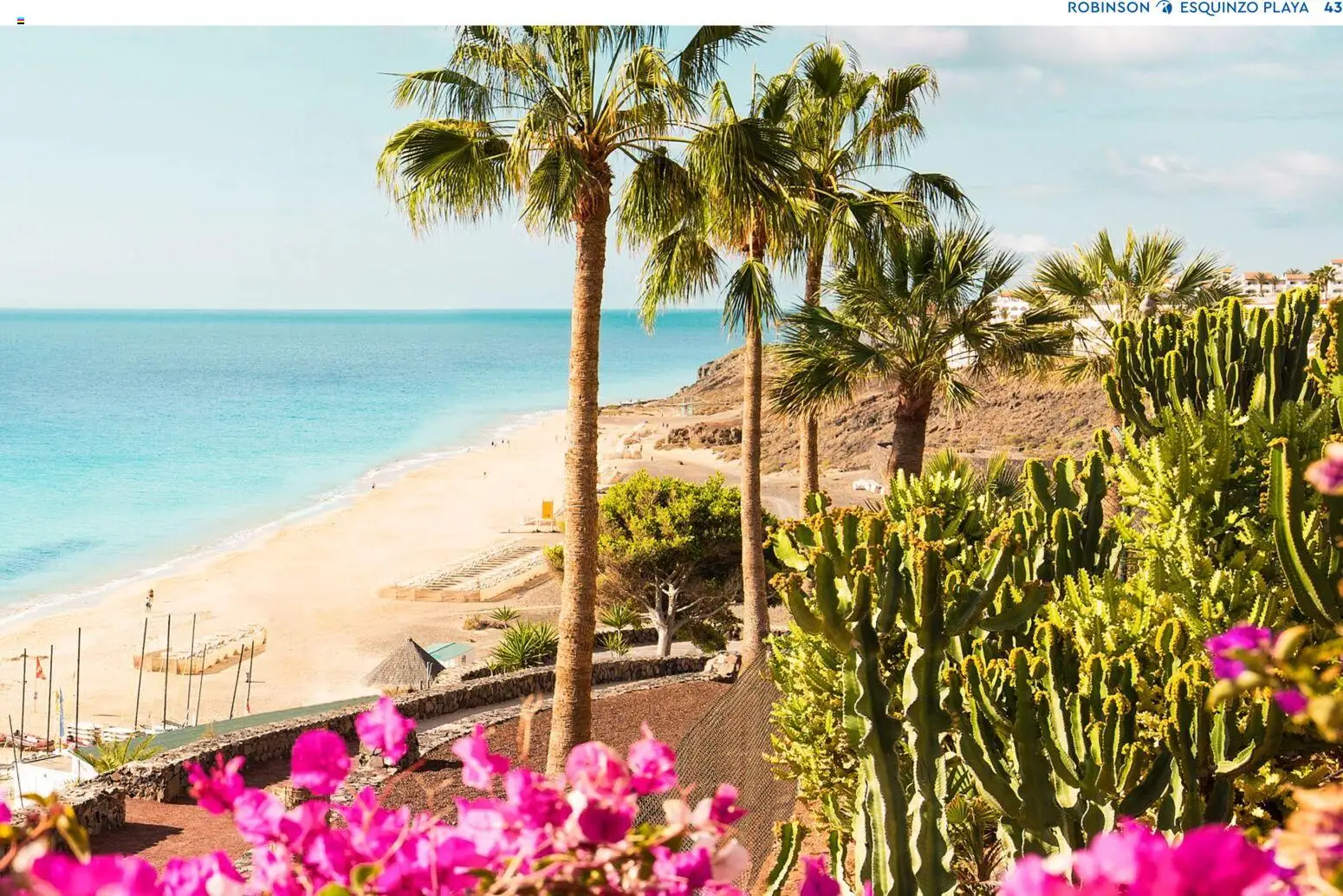 Aida ROBINSON Ganzjahreskatalog 2025/26 - Seite 43 - gültig ab 30.10.2025