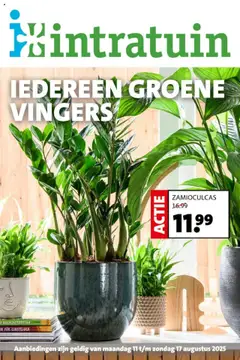 Intratuin - Folder geldig vanaf 11-08-2025