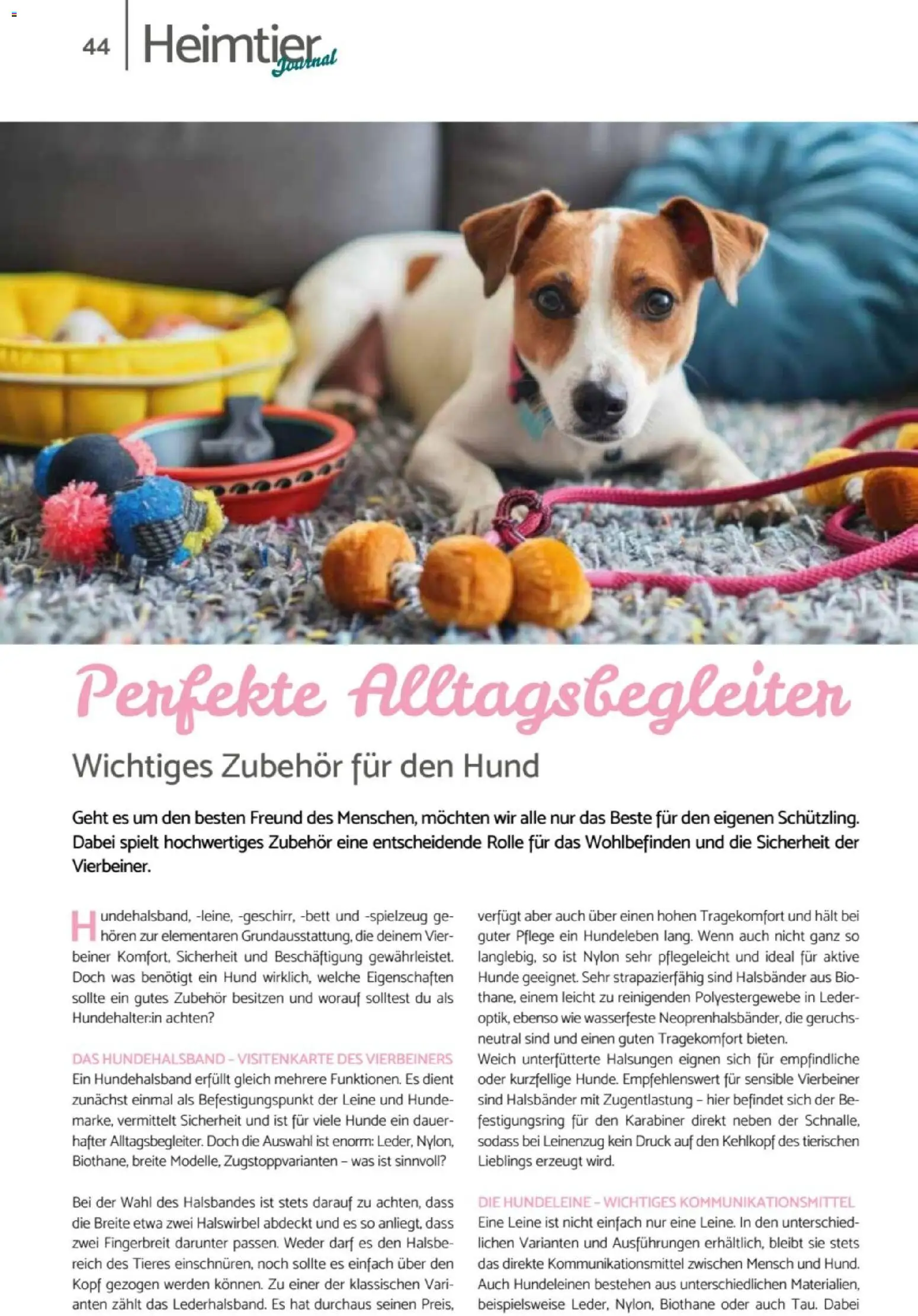 zookauf  Heimtier Journal - Seite 44 - gültig ab 01.02.2026
