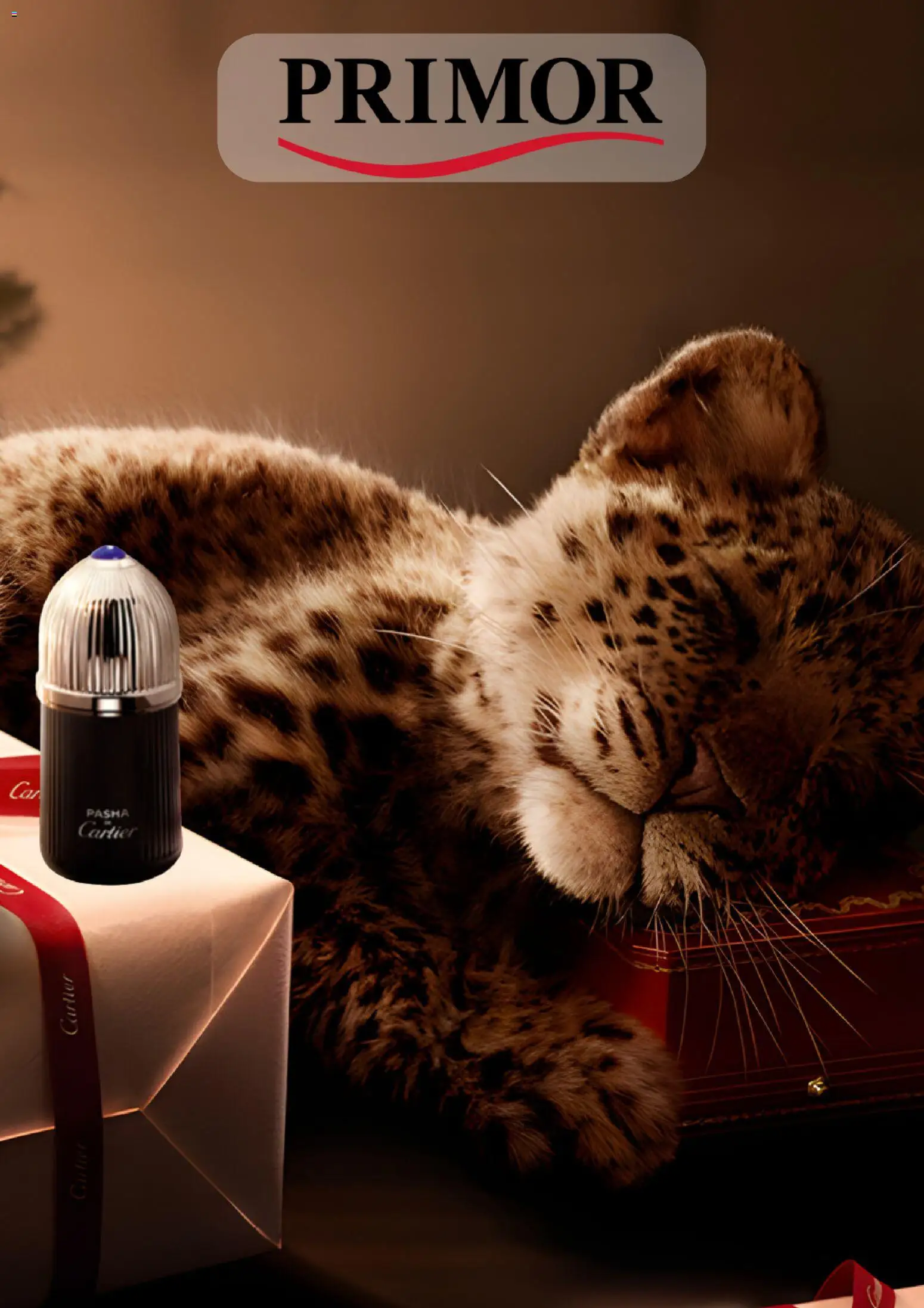 Primor folleto - Página de 1 - Válido desde 11/12/2025