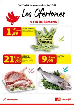 Vista previa del folleto Alcampo - Pasamanos  válido desde 07/11/2025