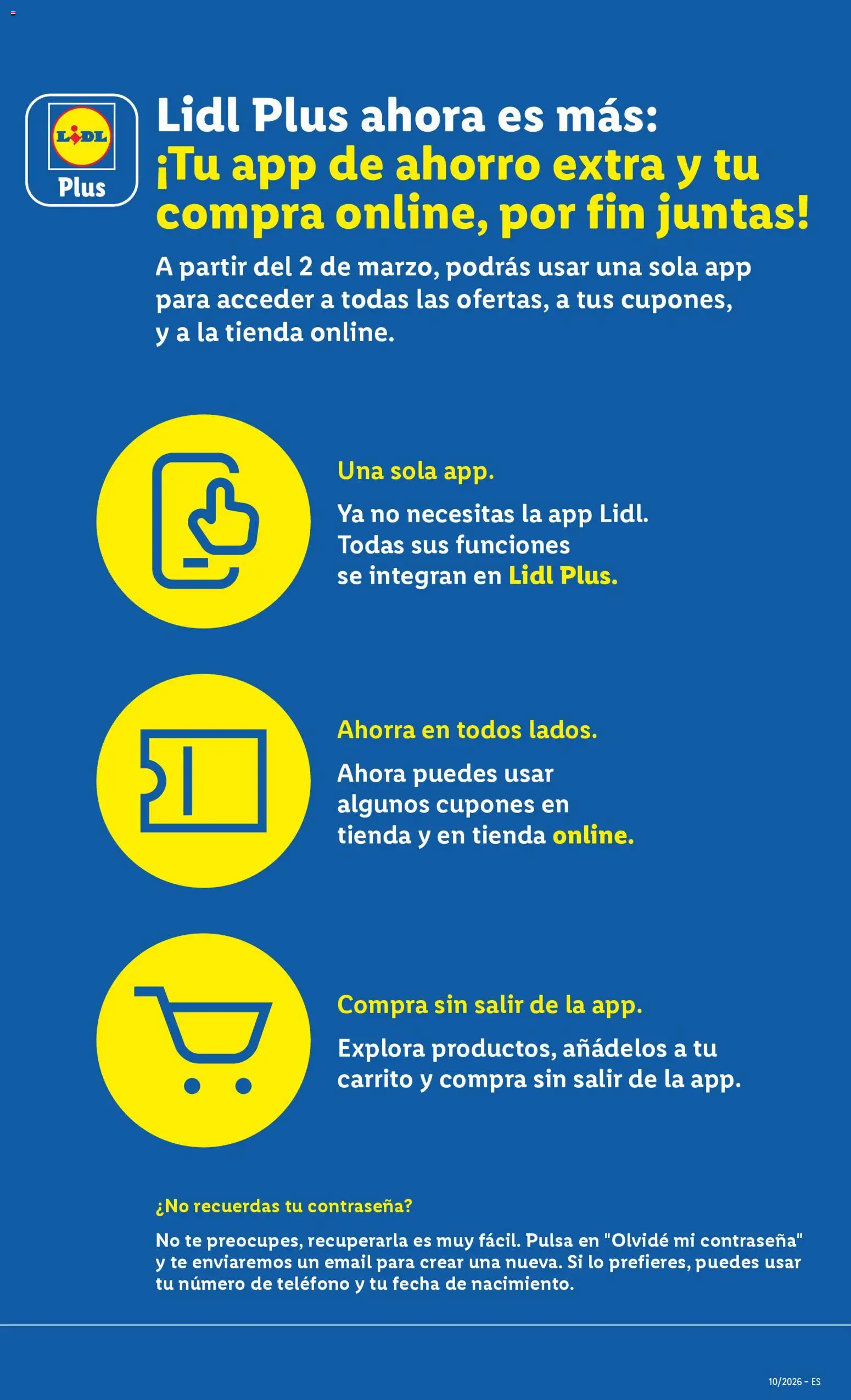 Lidl folleto - Página de 31 - Válido desde 02/03/2026