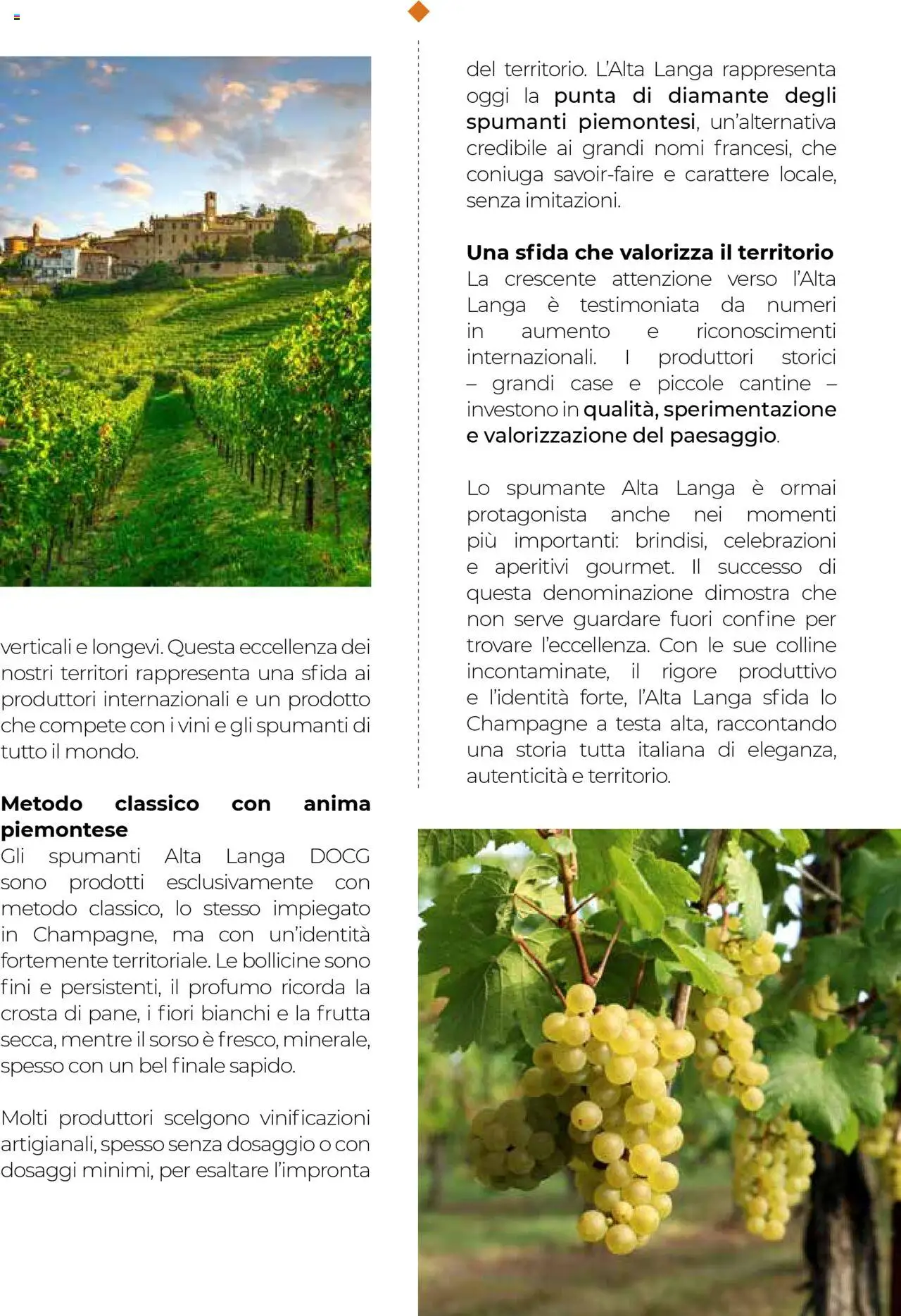 Gulliver Gulli catalogo - pagina 21 - valido dal 27/06/2025