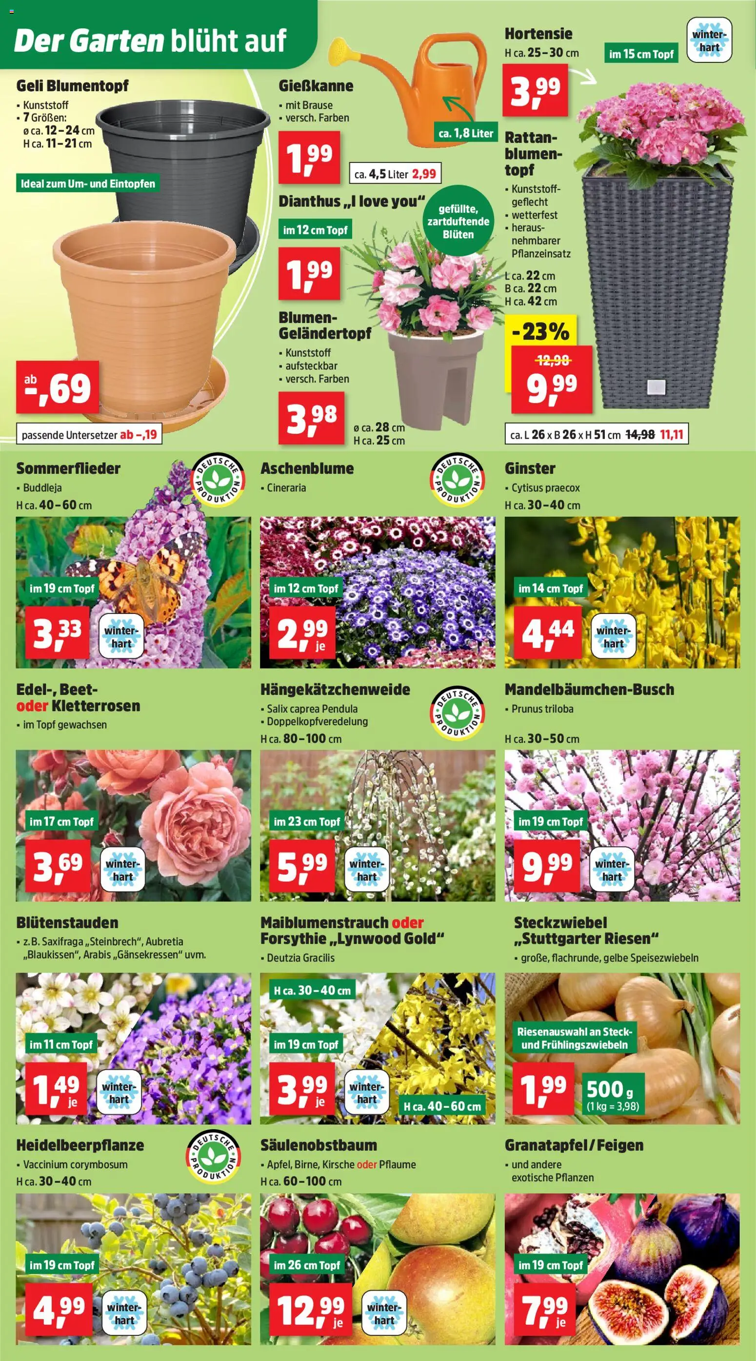 Thomas Philipps Prospekt 	 - Seite 4 - gültig ab 16.03.2026