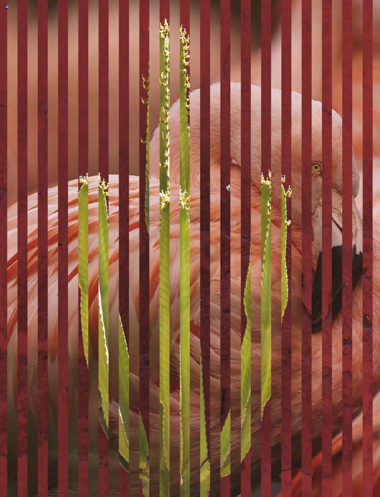 TUI airtours Katalog  Erstklassige Fernreisen 2025/26 - Seite 280 - gültig ab 01.11.2025