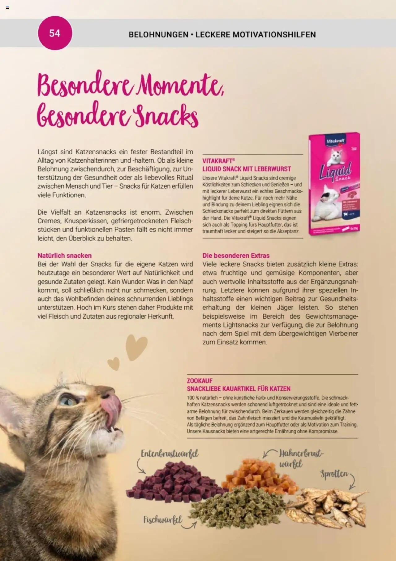 zookauf Themenkatalog Katze - Seite 54 - gültig ab 01.10.2025