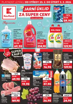 Náhled Kaufland leták platný od 25.02.2026