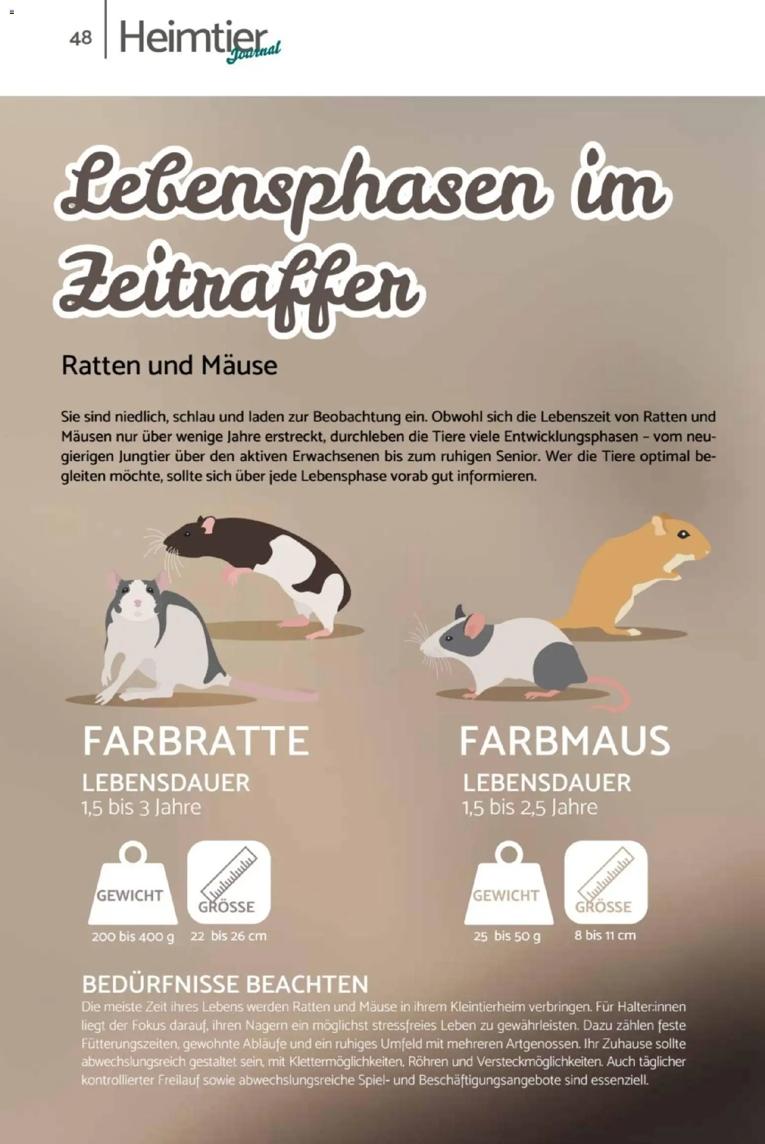zookauf  Heimtier Journal - Seite 48 - gültig ab 01.02.2026