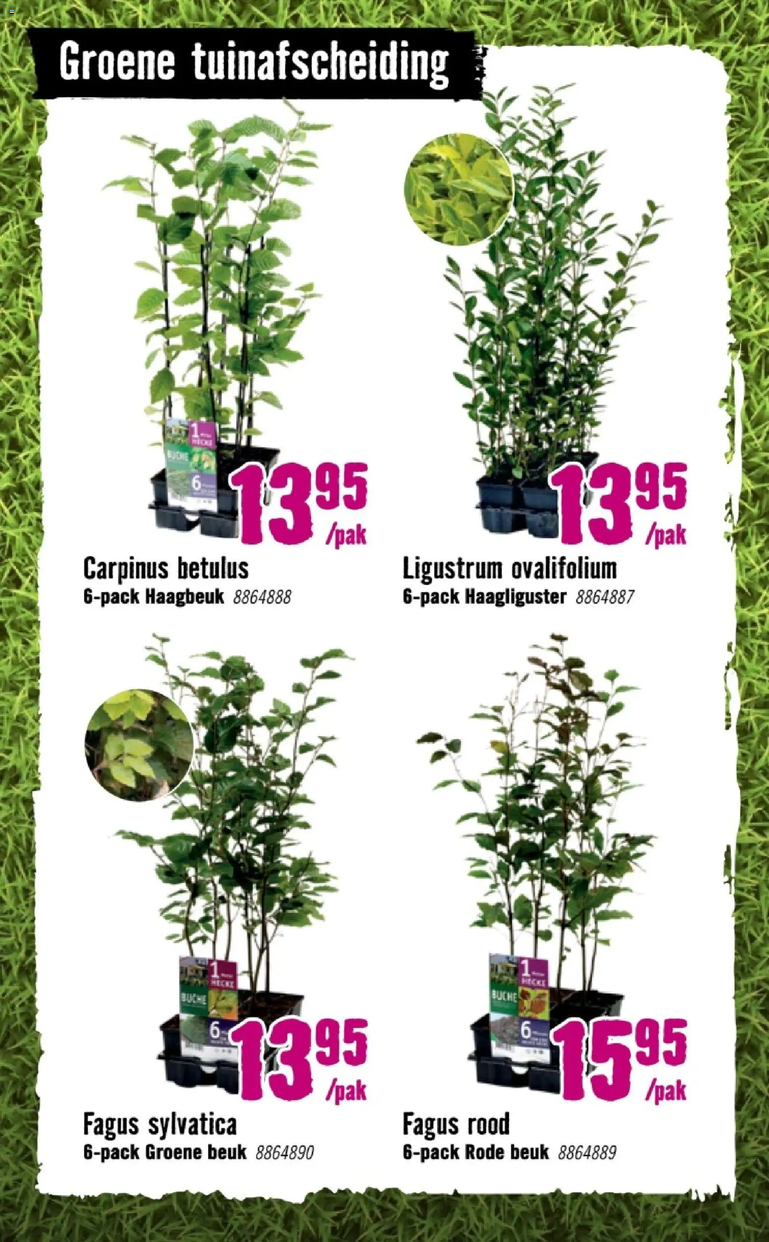 Hornbach folder - page 37- valid from 09-03-2026