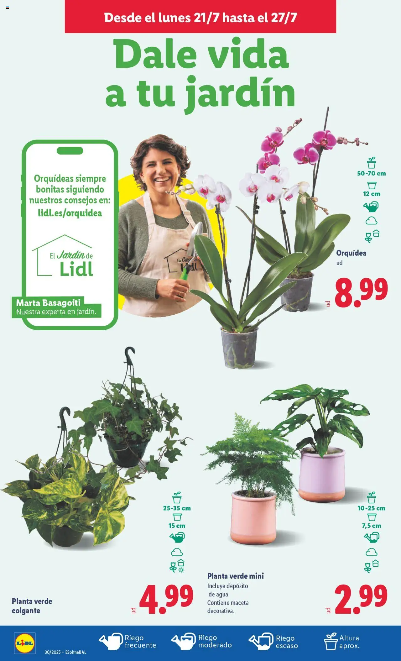 Lidl folleto - Página de 32 - Válido desde 21/07/2025