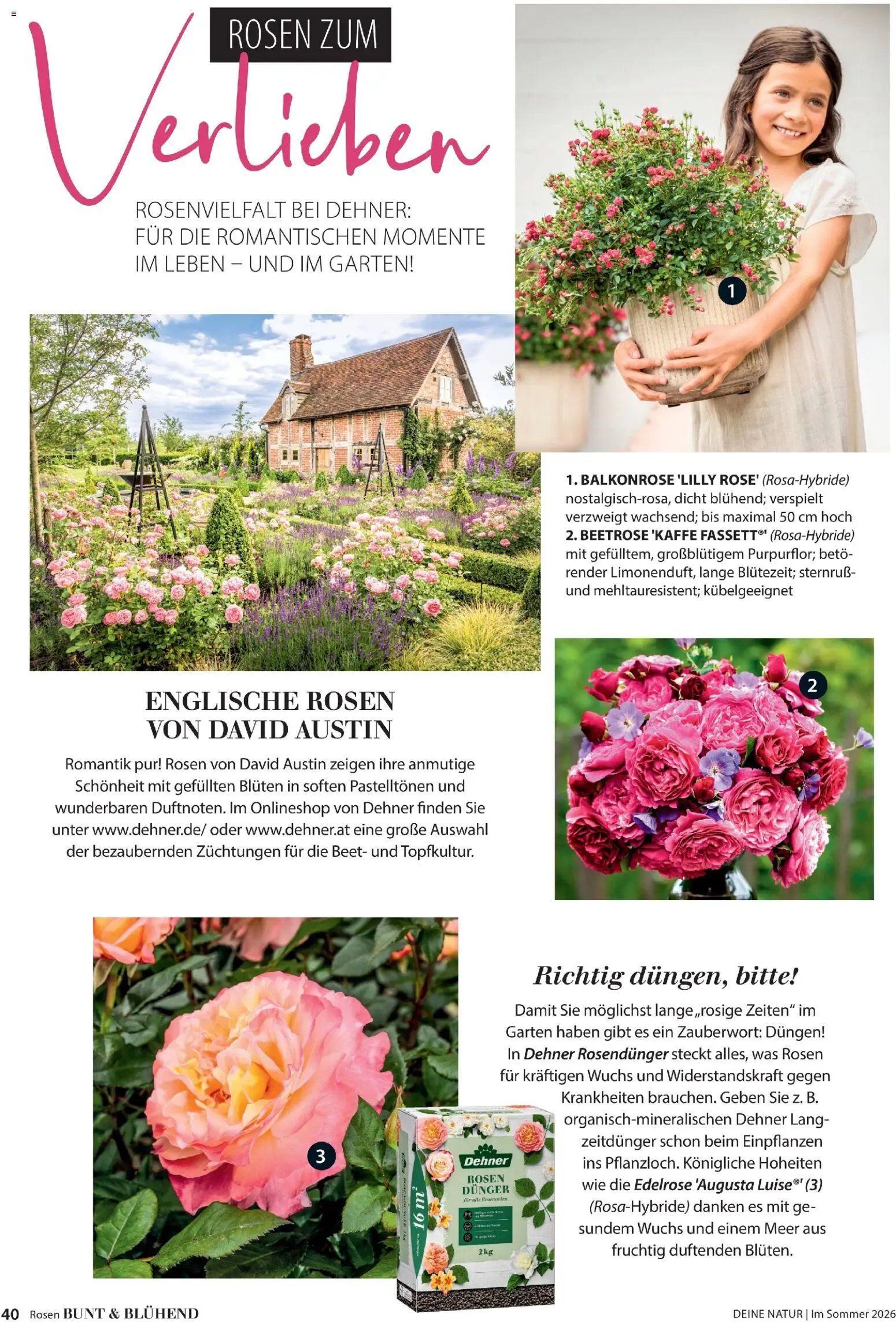 Dehner Prospekt 	 - Seite 40 - gültig ab 17.04.2026