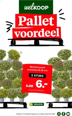 Welkoop - Folder geldig vanaf 08-09-2025