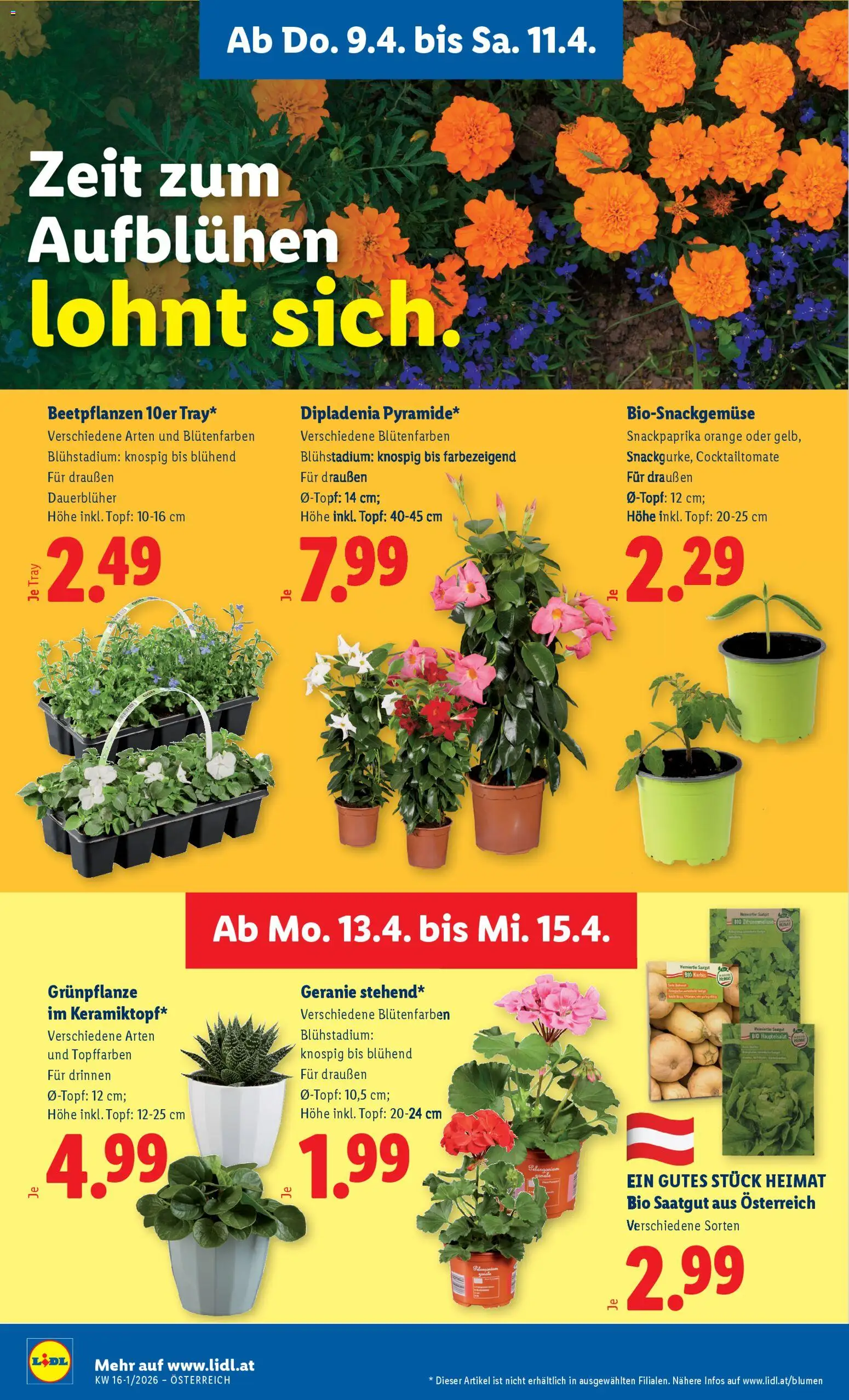 Lidl - Flugblatt - page 28- valid from 08.04.2026