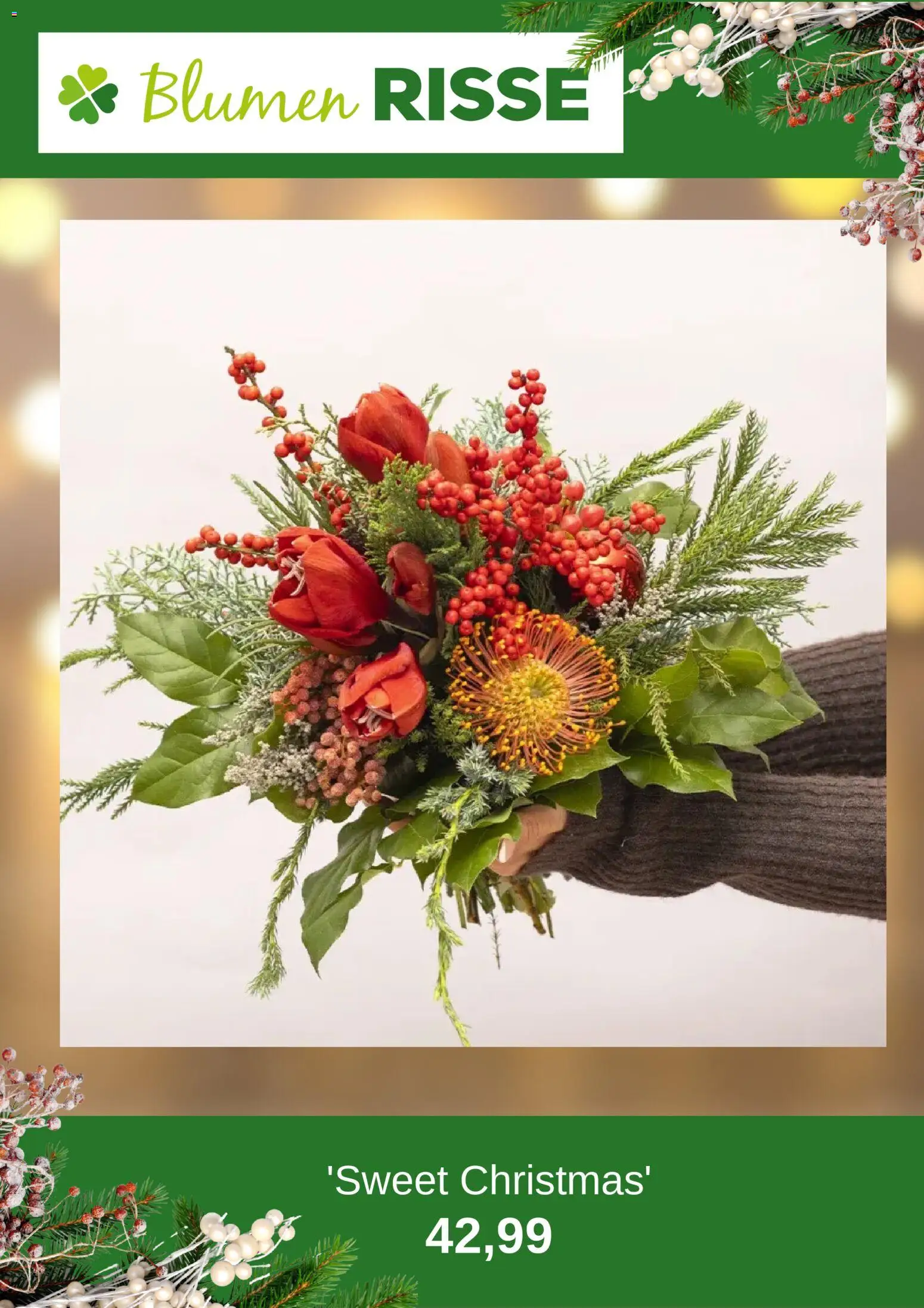 Blumen Risse Prospekt 	 - Seite 9 - gültig ab 24.11.2025