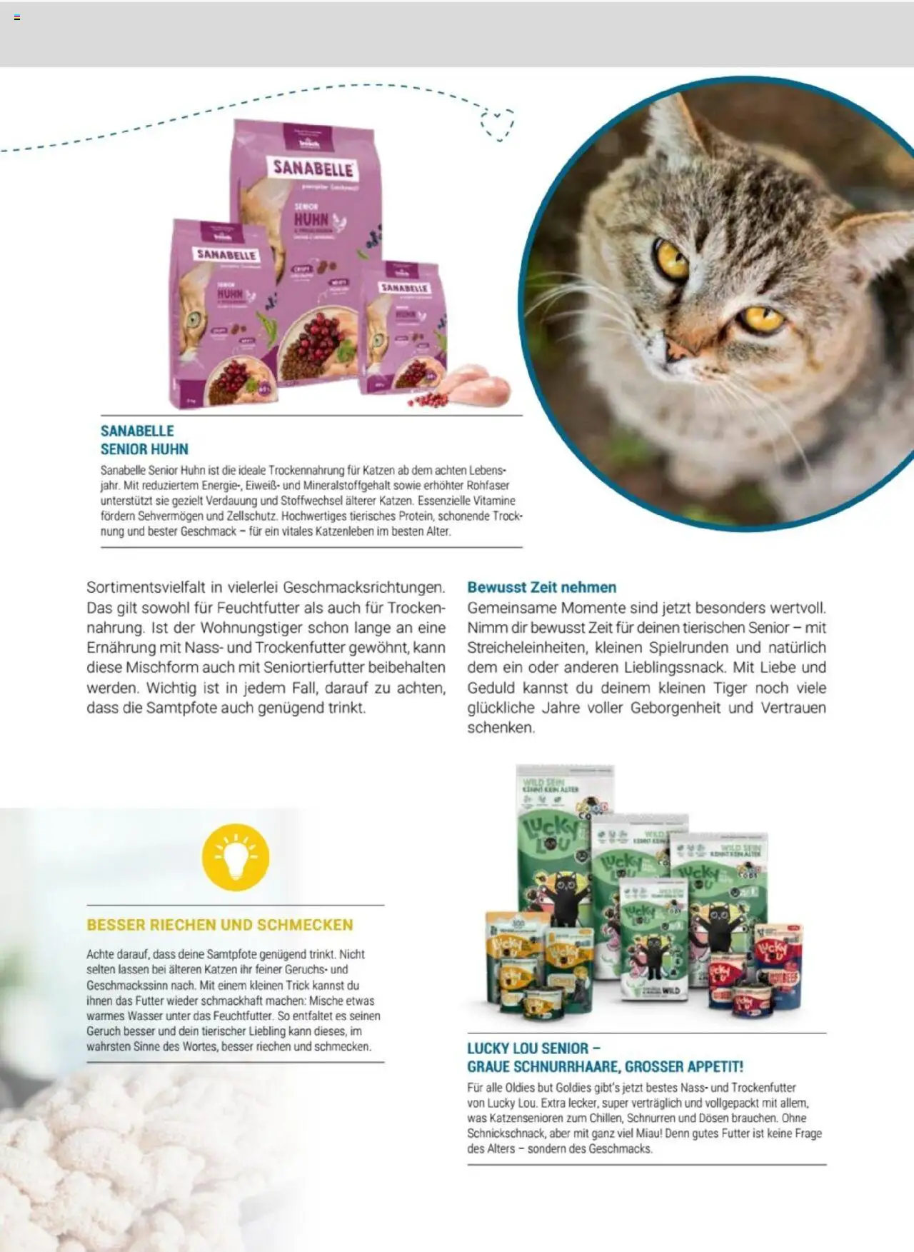 zookauf Themenkatalog Katze - Seite 11 - gültig ab 01.10.2025