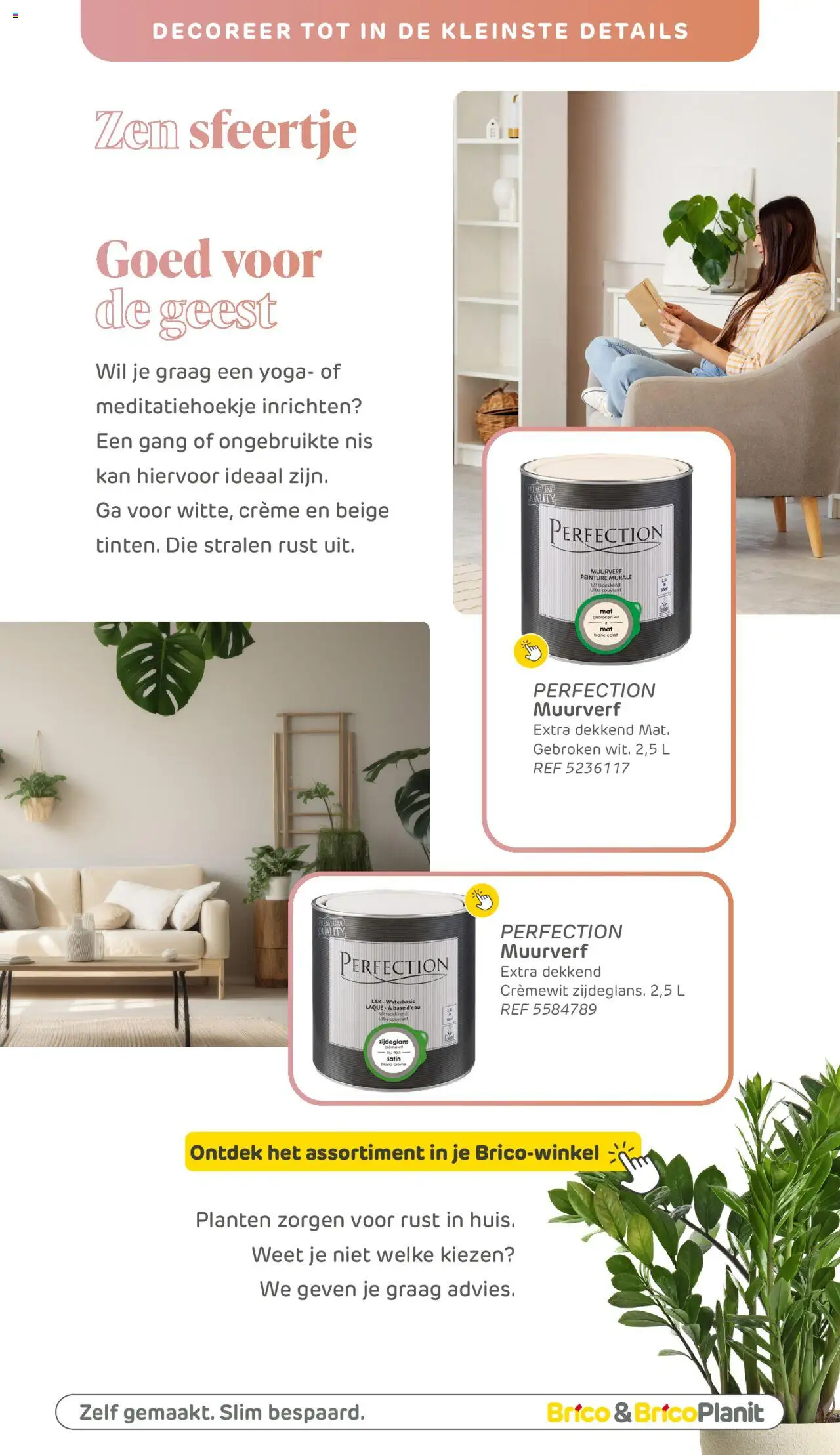 Brico Plan-it - Verfmagazine - pagina 81- geldig vanaf 11/05/2025