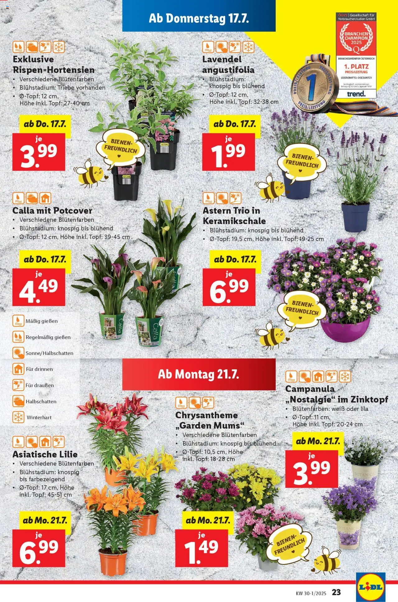 Lidl Flugblatt - Seite 27- gültig ab 17.07.2025