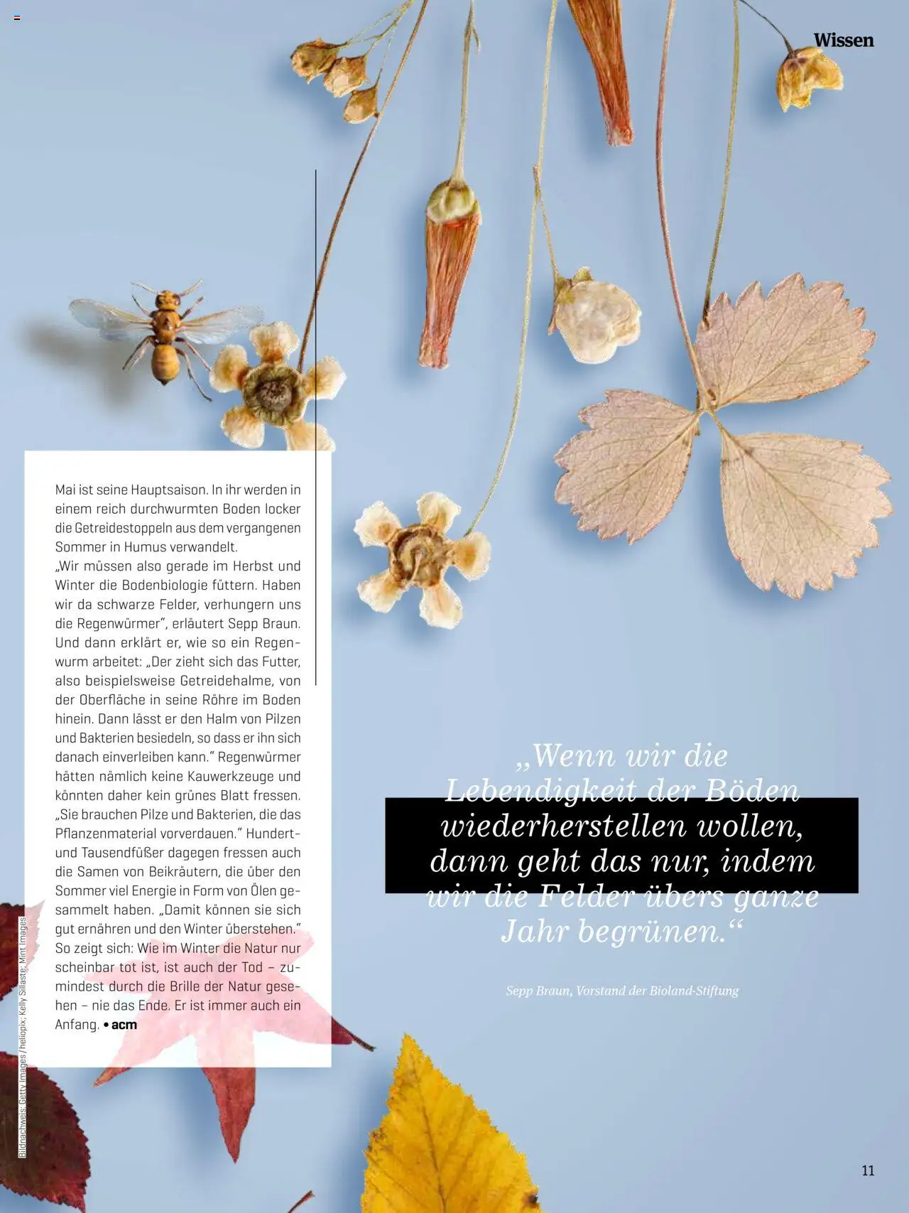 Denns BioMarkt KREO Magazin - Seite 11- gültig ab 14.07.2025